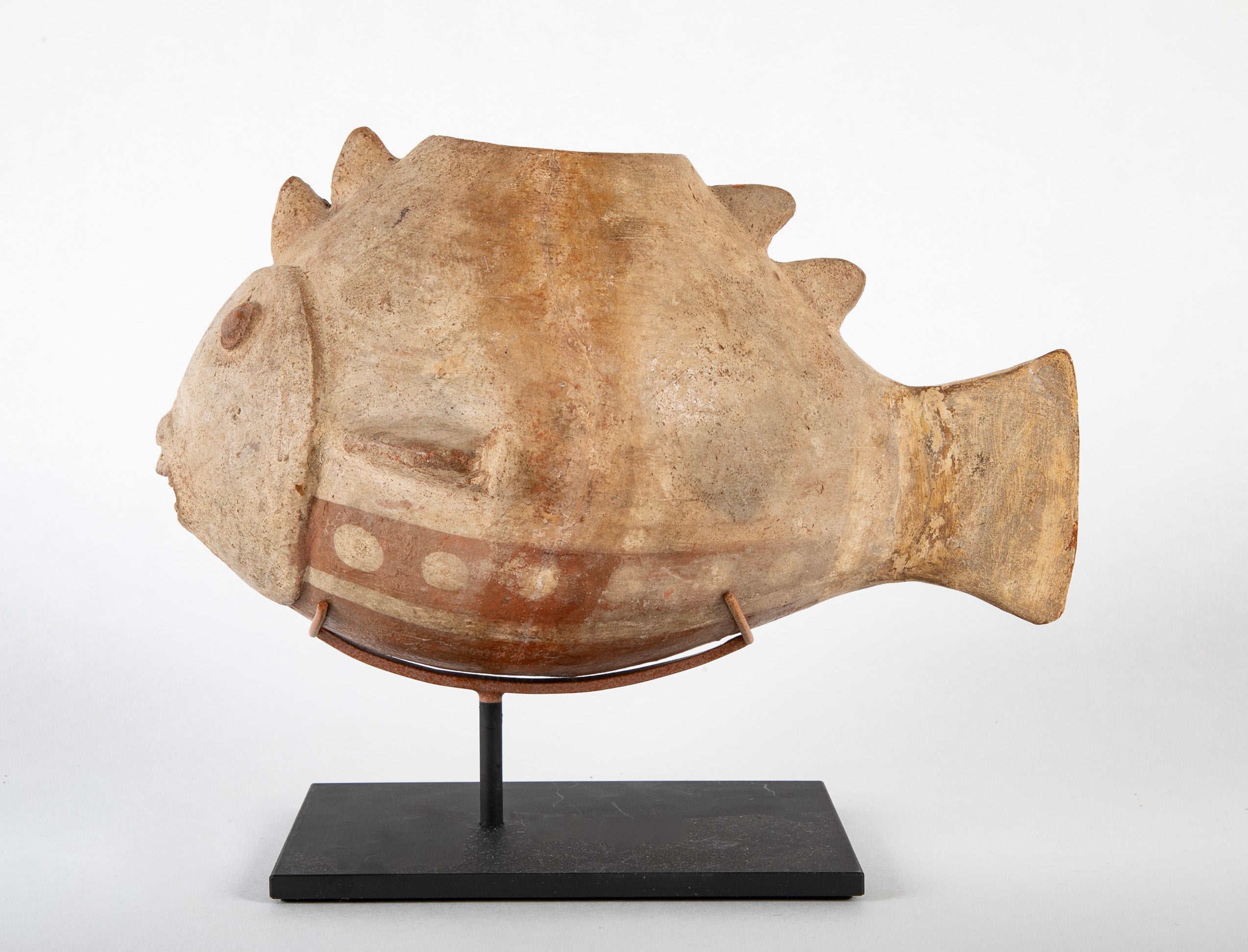 A Colima Shark Effigy Vessel
