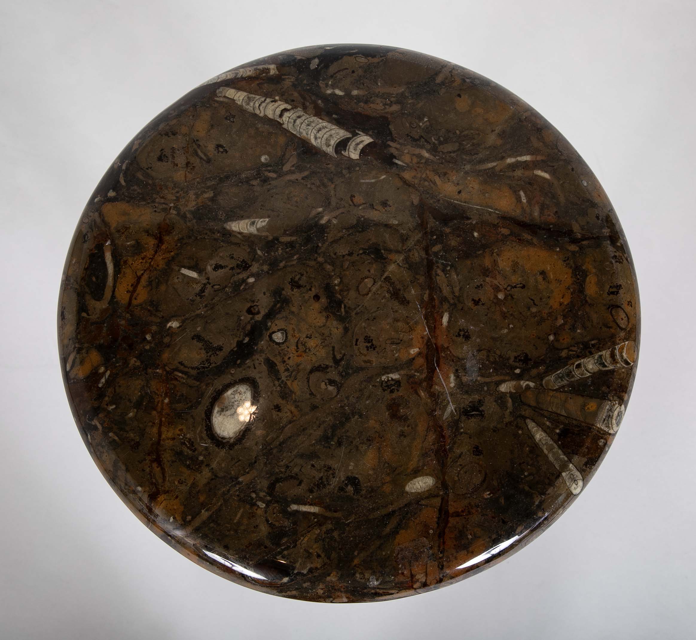 Round Fossilized Top Three Legged Pedestal Table Base in Black Lacquered Metal