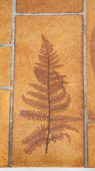 A Roger Capron Coffee Table in Stained Wood with Ceramic Tile