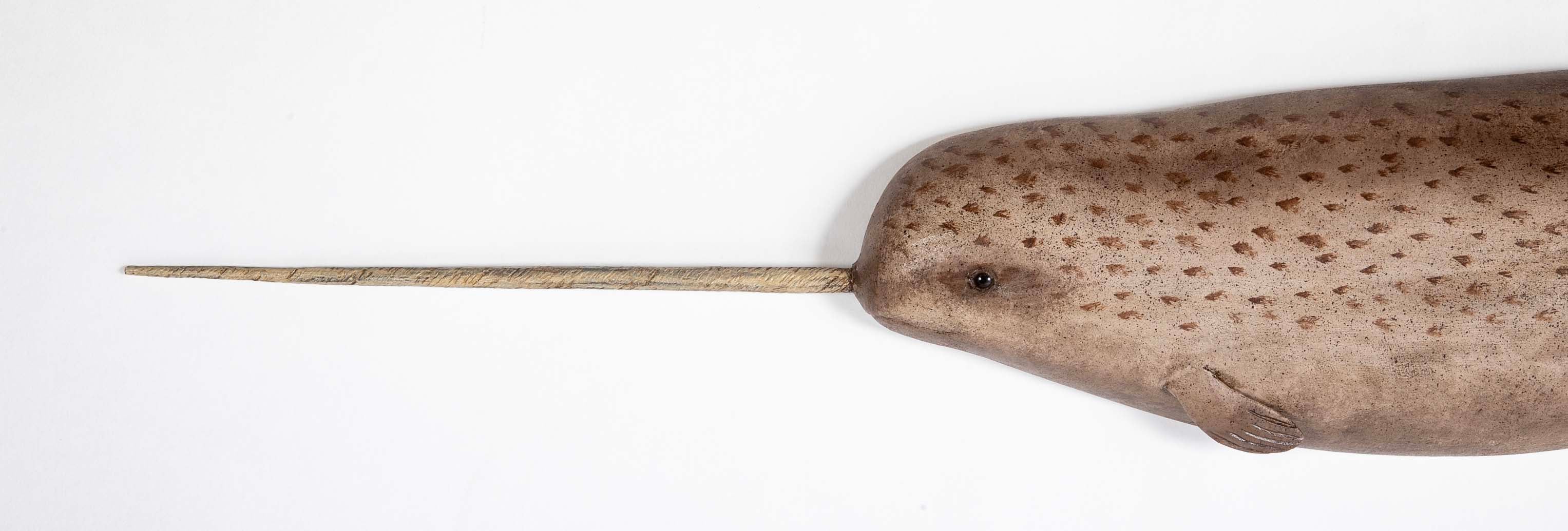 Plaque of a Carved and Painted Narwhal