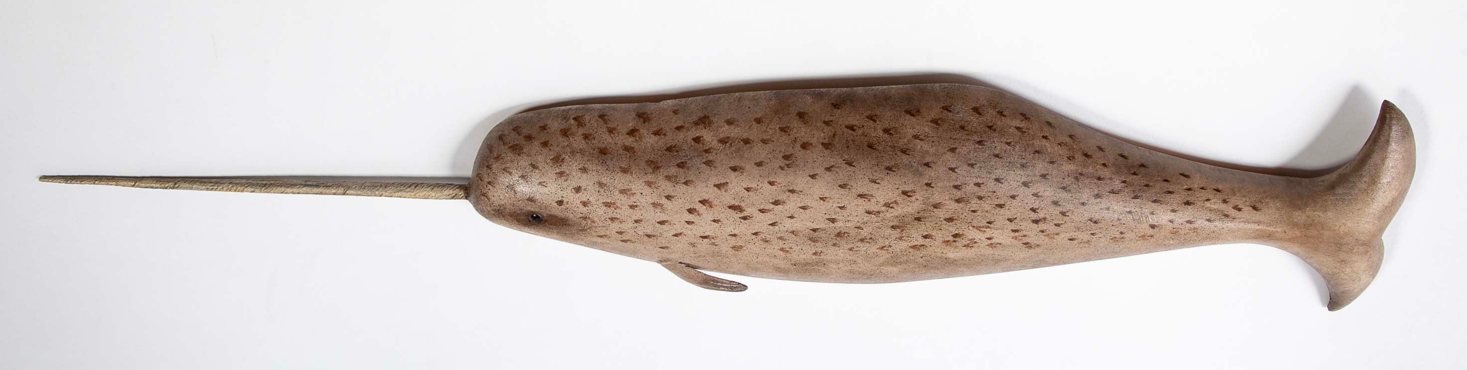 Plaque of a Carved and Painted Narwhal