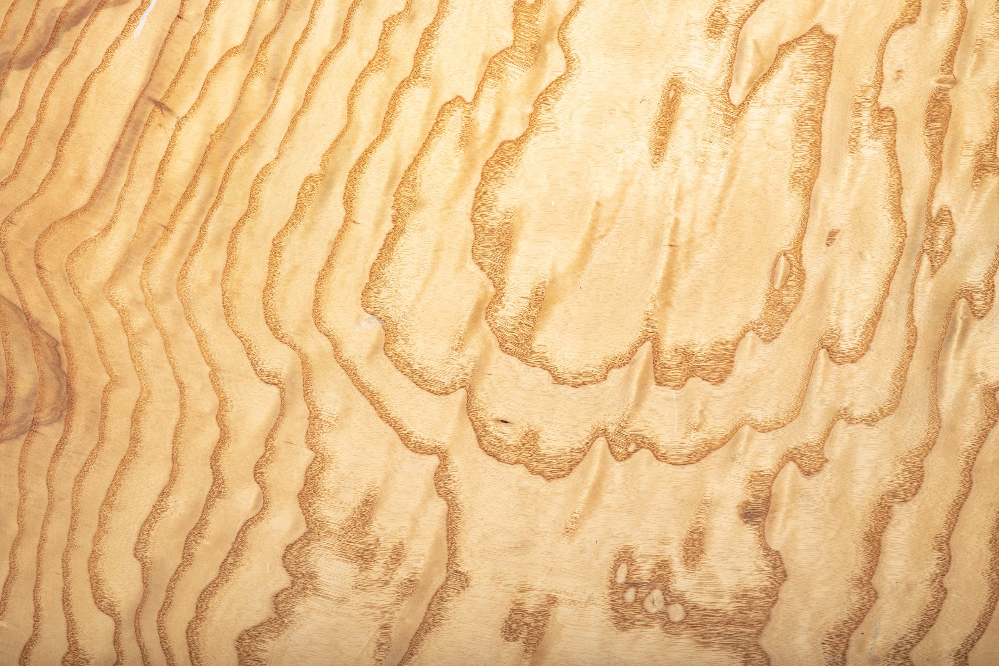 Large wooden bowl by Walter Goodridge.