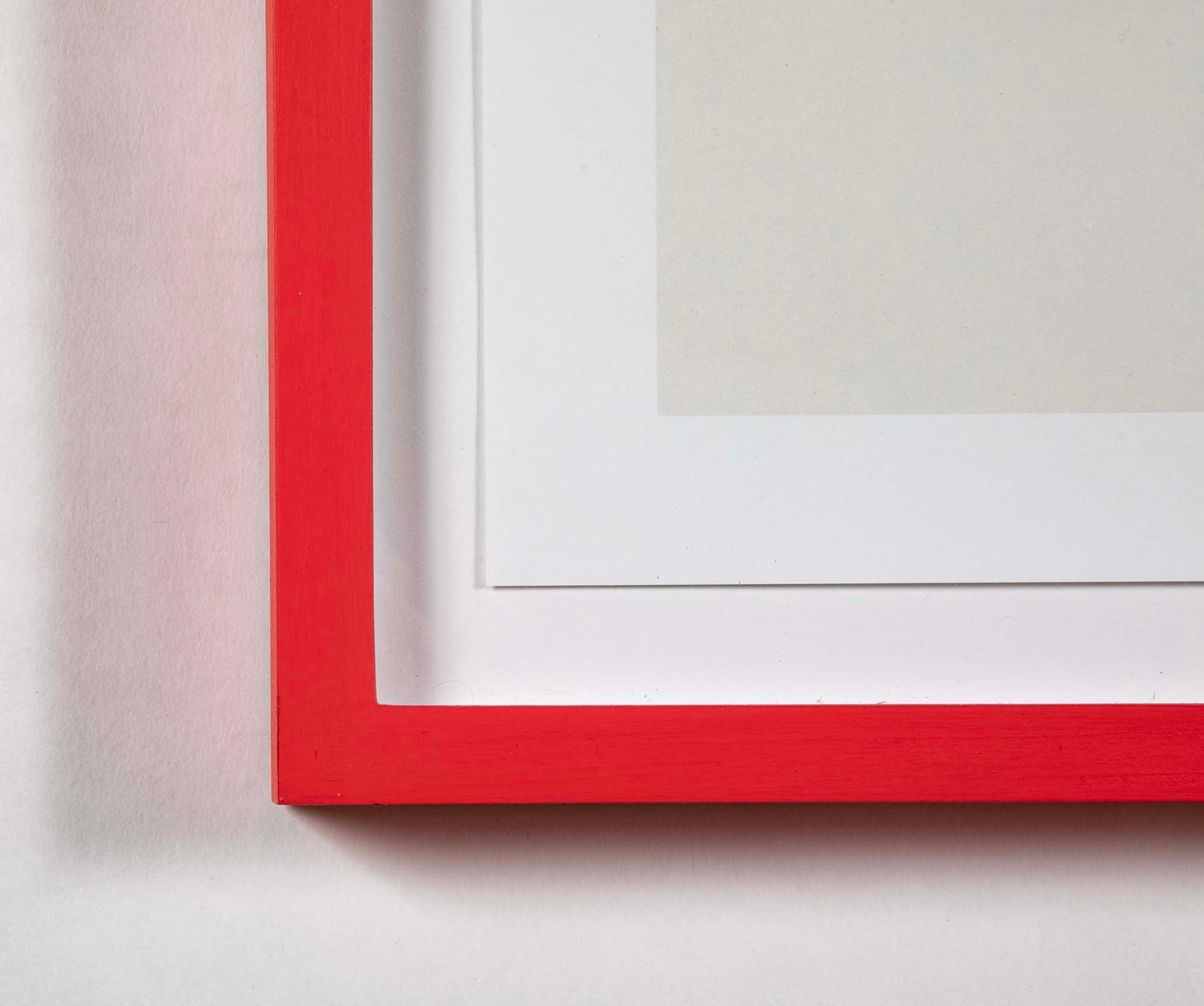 David Shrigley (b.1968) Poster of a Green Cat " This Huge Cat has Been Assigned to You....."