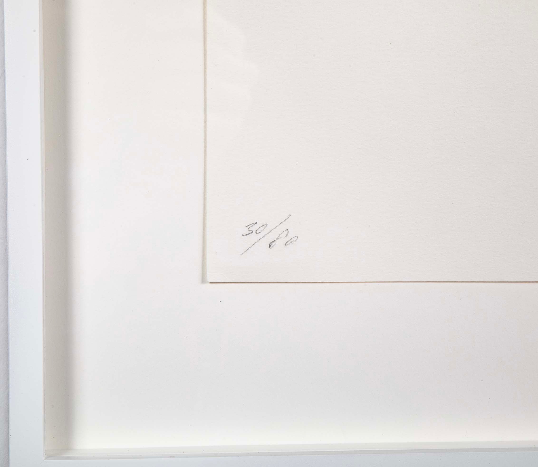 "Vibrating Egg (Verde)" Silkscreen in Color by Czech Artist Jan Kalab