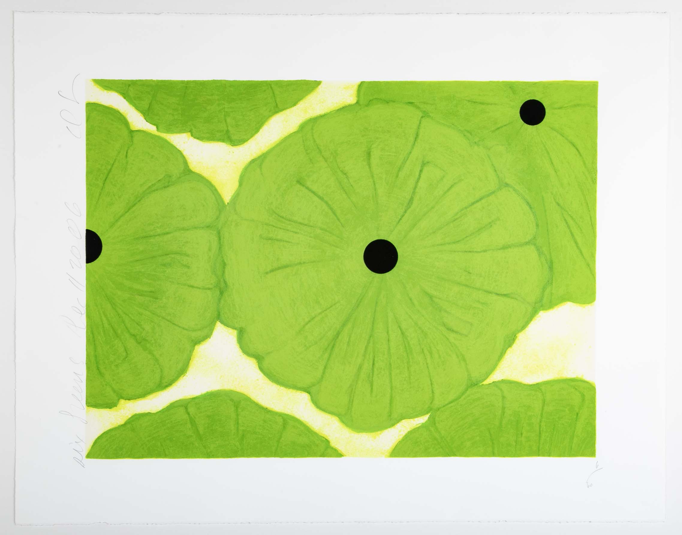 "Six Greens" Screenprint on Paper by Donald Sultan