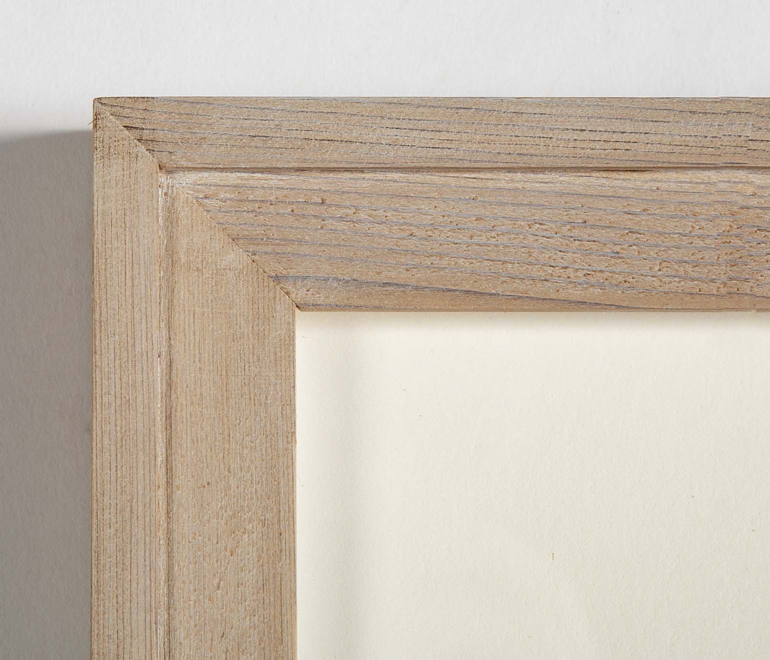 Thomas Moore Print from "The Ferns of Great Britain and Ireland" in Custom Cedar Frame