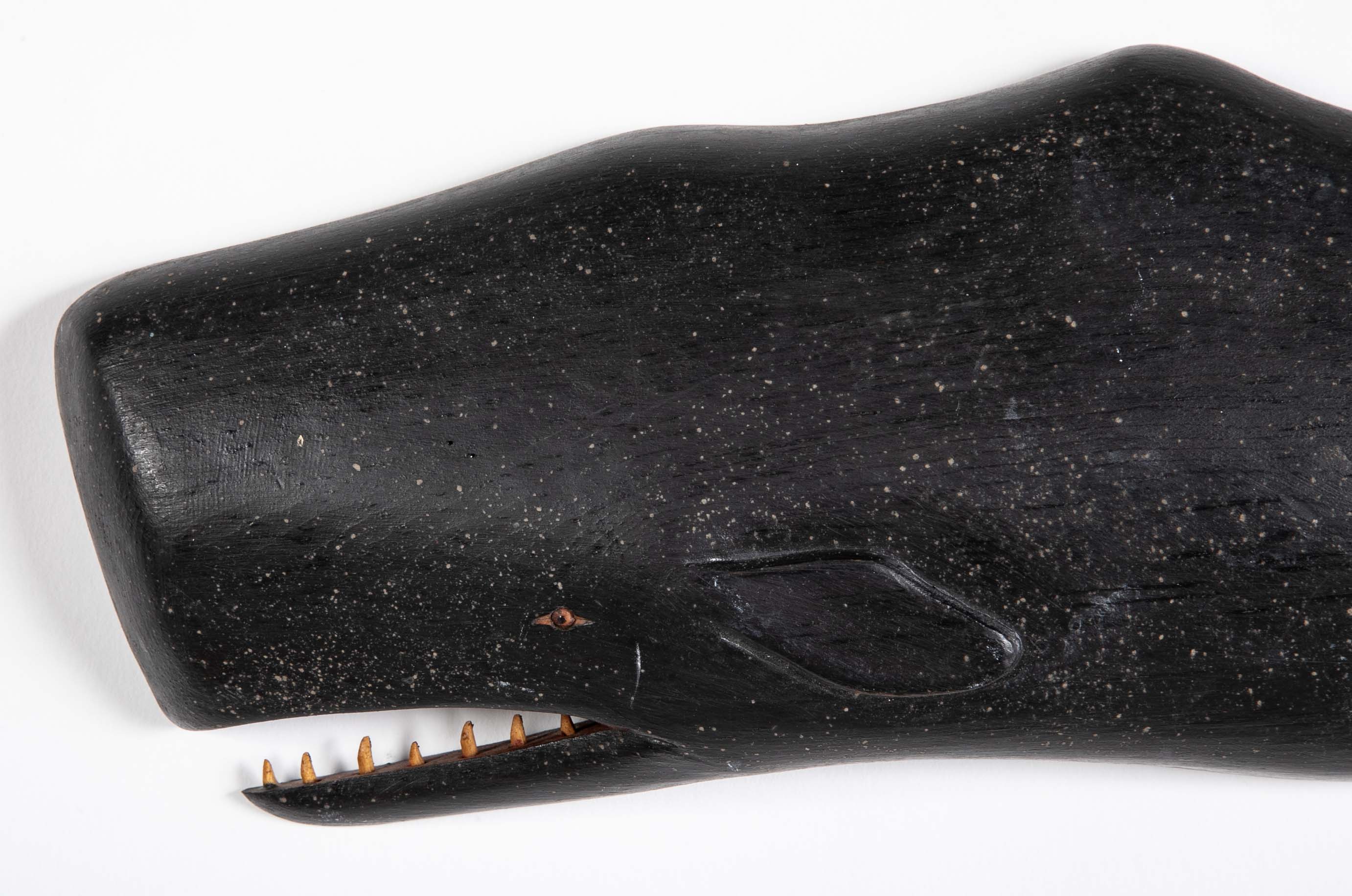Carved & Painted Wood Sperm Whale by Clark G. Voorhees, Jr.