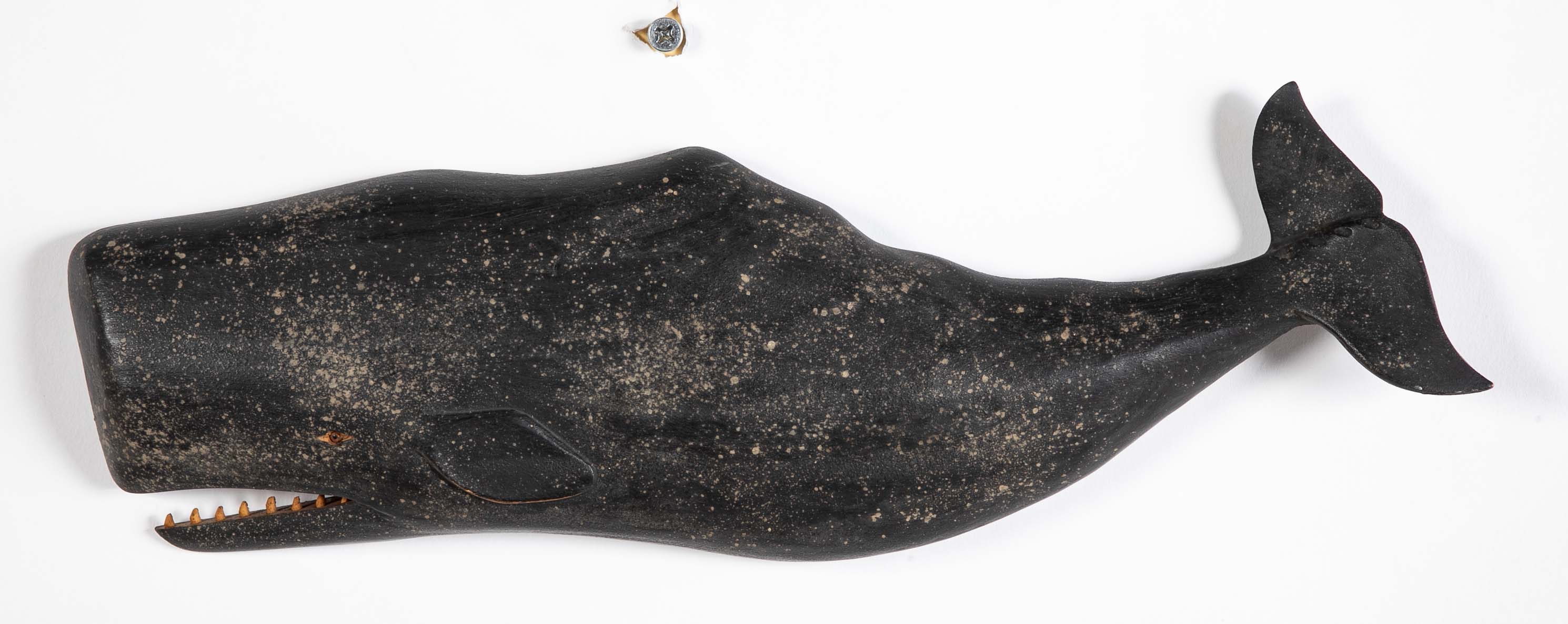 Carved & Painted Wood Sperm Whale by Clark G. Voorhees, Jr.