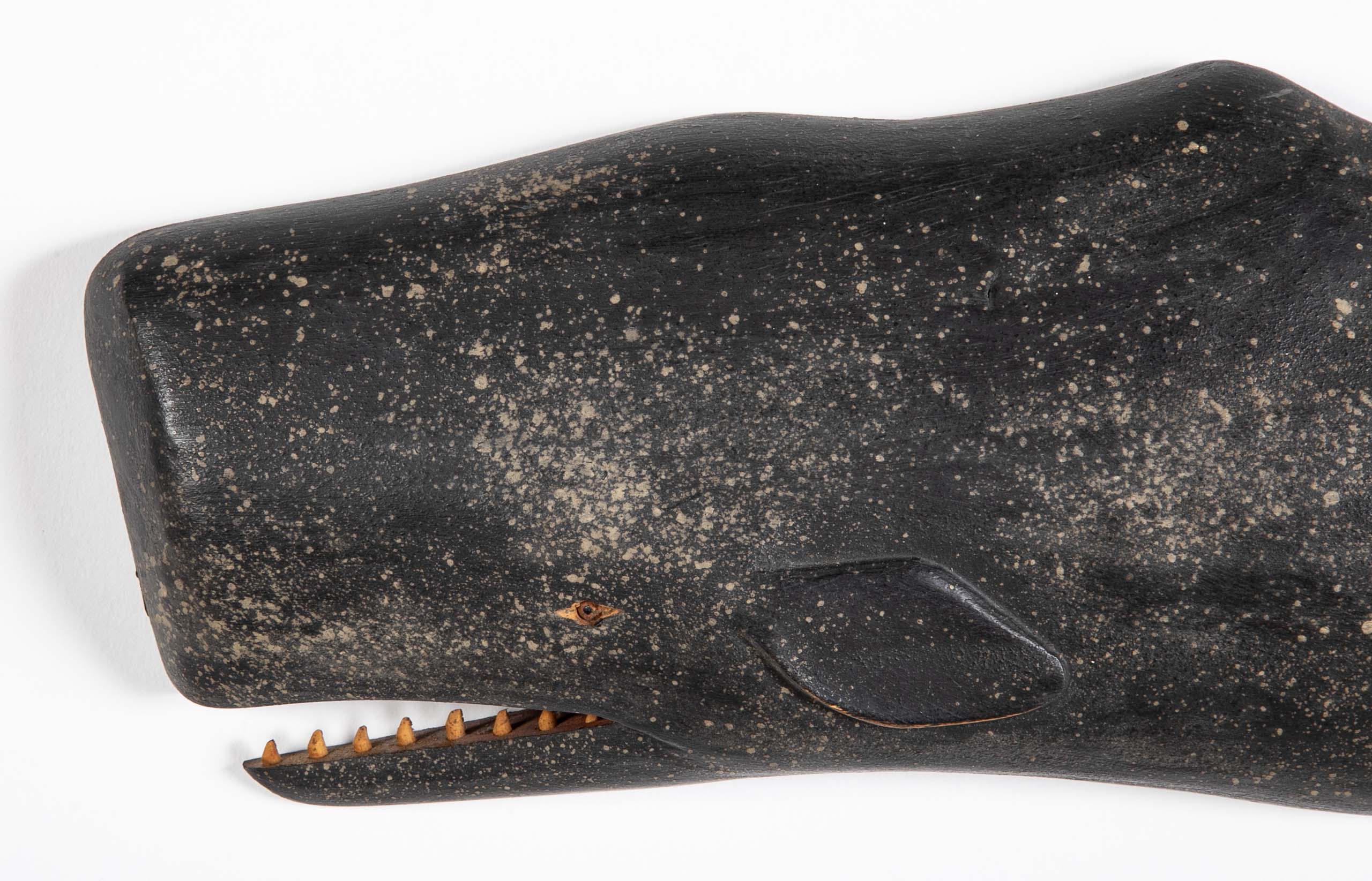 Carved & Painted Wood Sperm Whale by Clark G. Voorhees, Jr.