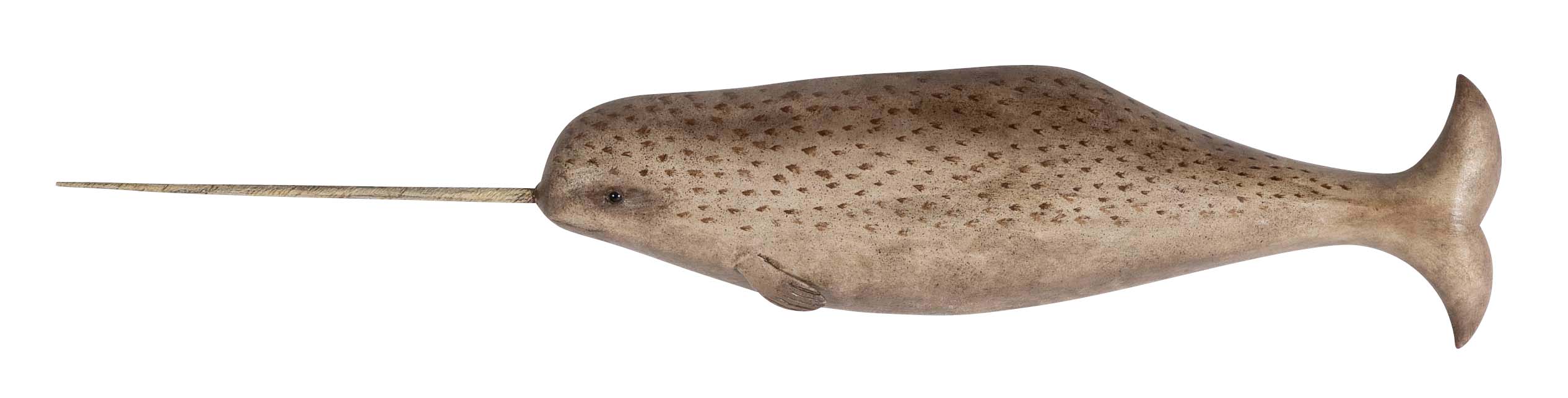 Plaque of a Carved and Painted Narwhal