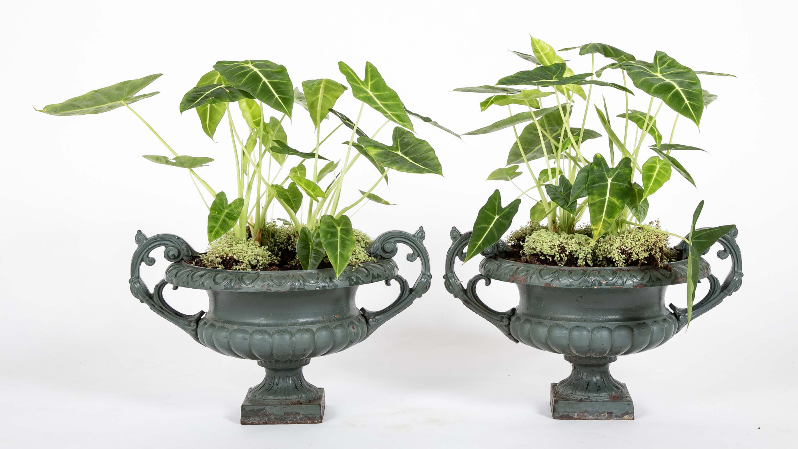 Pair of Late 19th Century Cast Iron Urns having Old Green Paint
