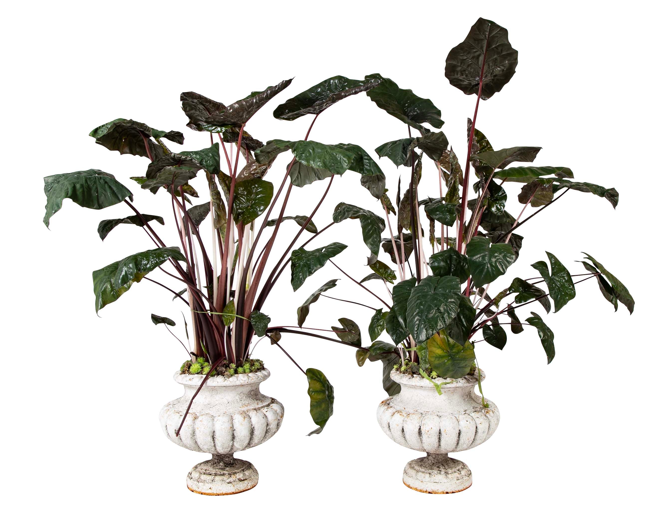 Pair of French 19th Century Cast Iron Urns Signed Alfred Corneau