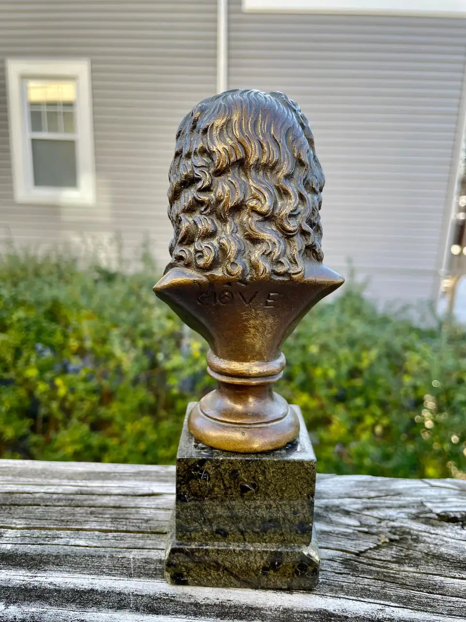 19th Century Italian Grand Tour Bronze Bust of the Roman God Jupiter