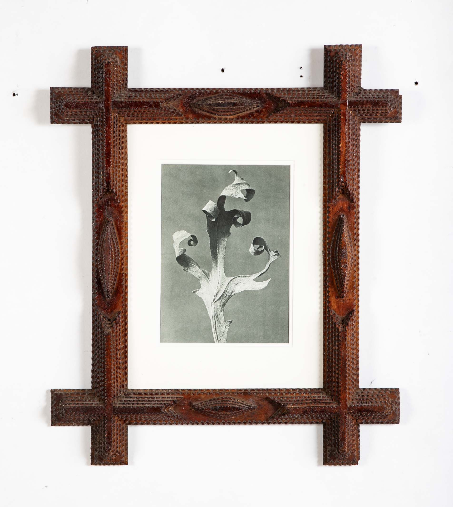 Pair of Tramp Art Frames with Botanicals By Karl Blossfeldt
