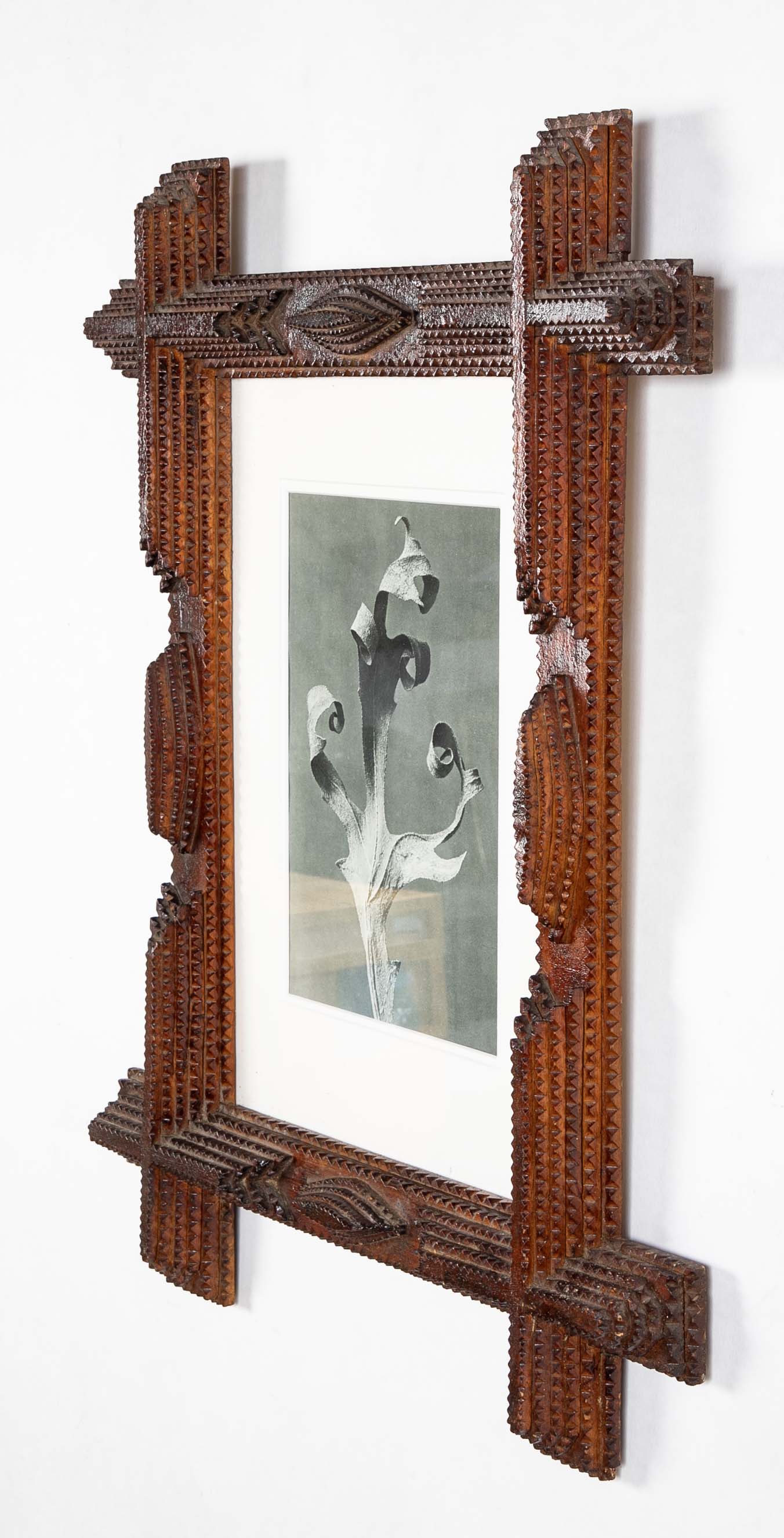 Pair of Tramp Art Frames with Botanicals By Karl Blossfeldt