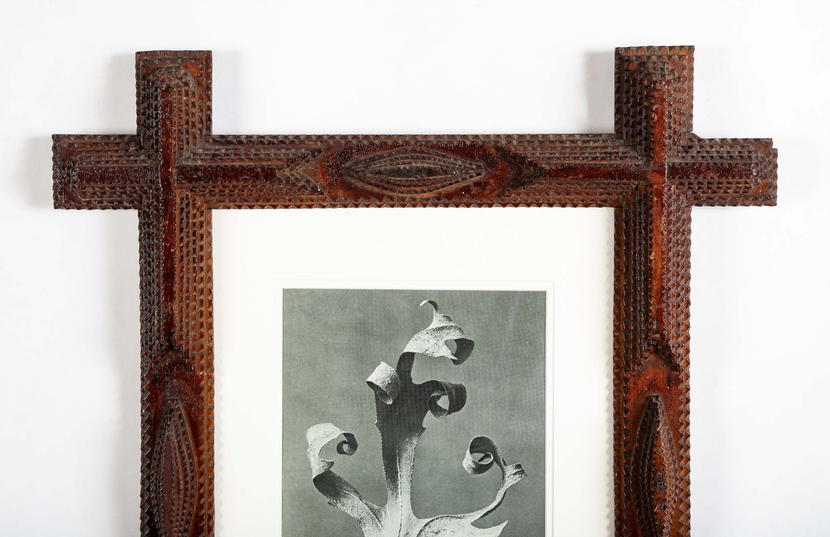 Pair of Tramp Art Frames with Botanicals By Karl Blossfeldt
