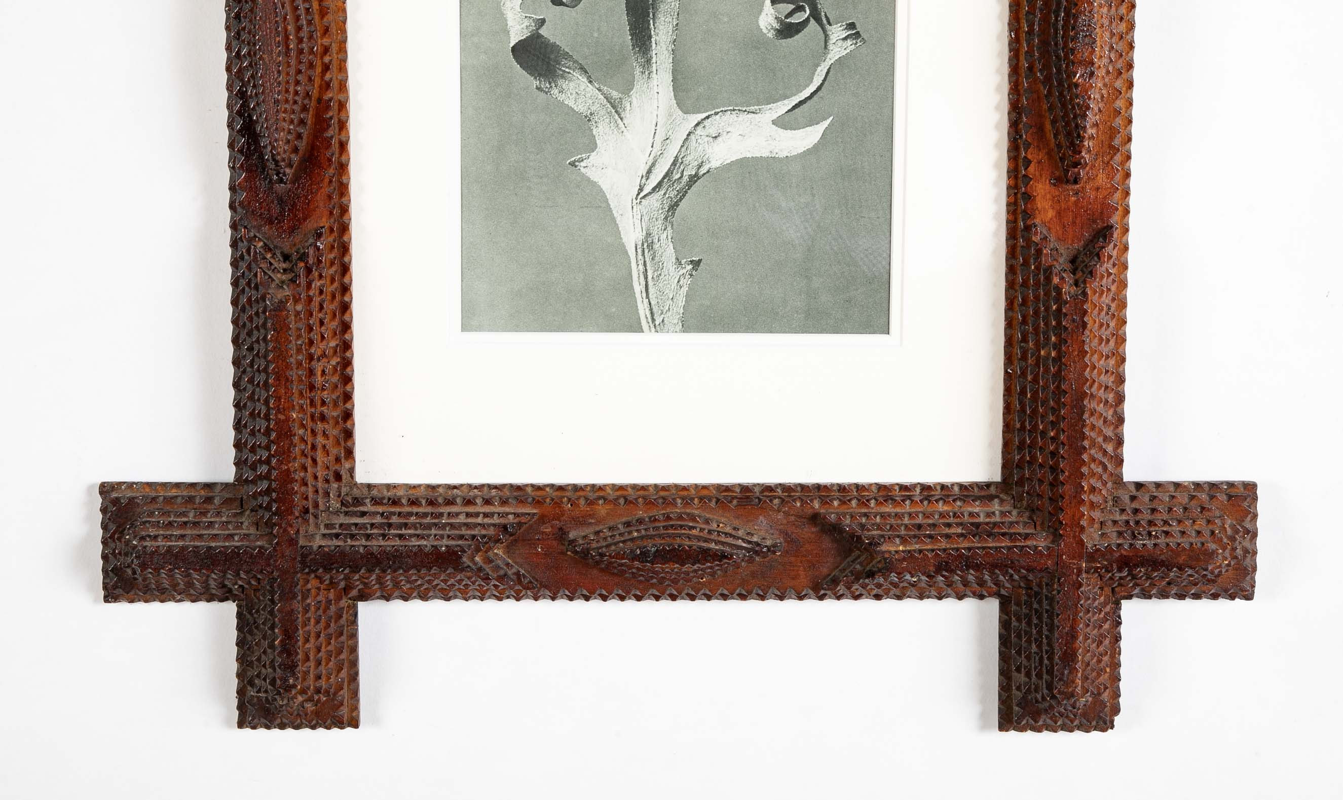 Pair of Tramp Art Frames with Botanicals By Karl Blossfeldt