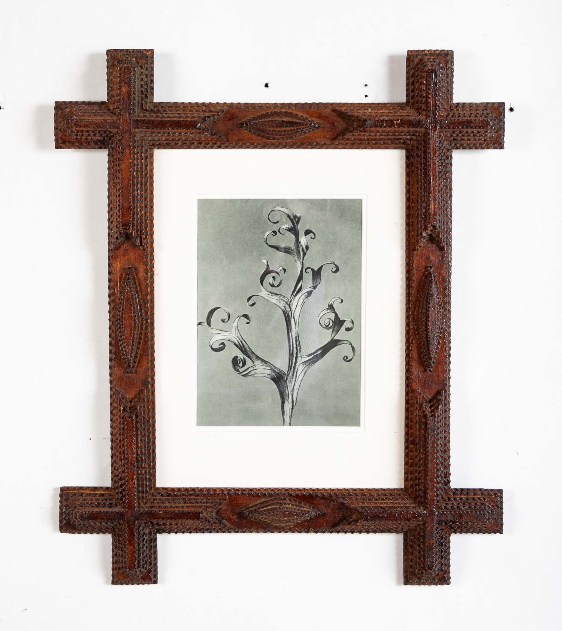 Pair of Tramp Art Frames with Botanicals By Karl Blossfeldt