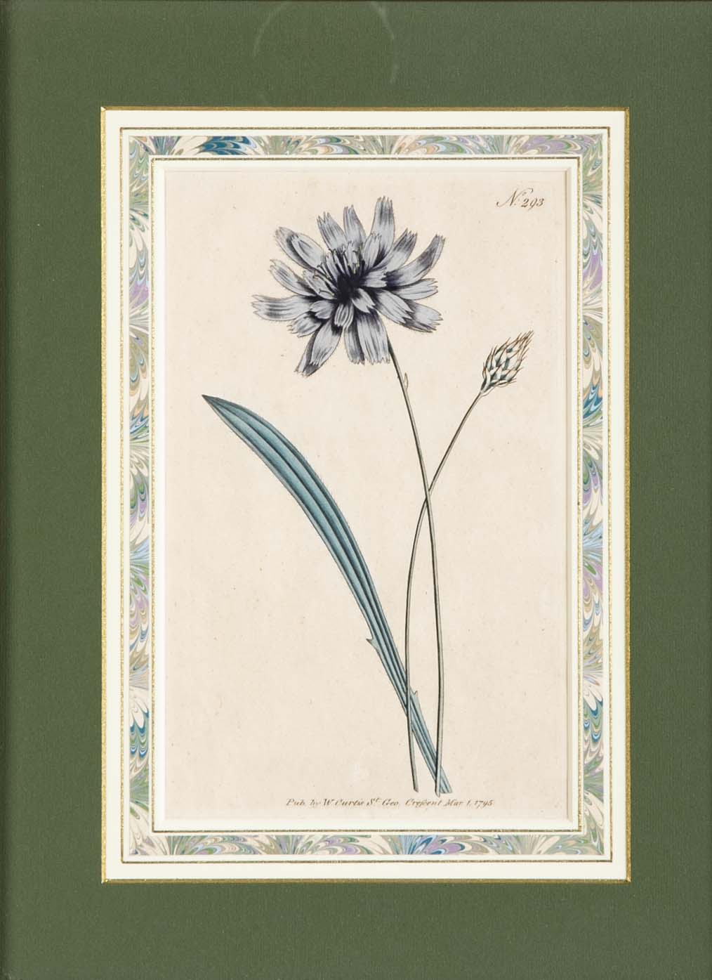 Set of 4 Hand Colored Botanical Prints by William Curtis