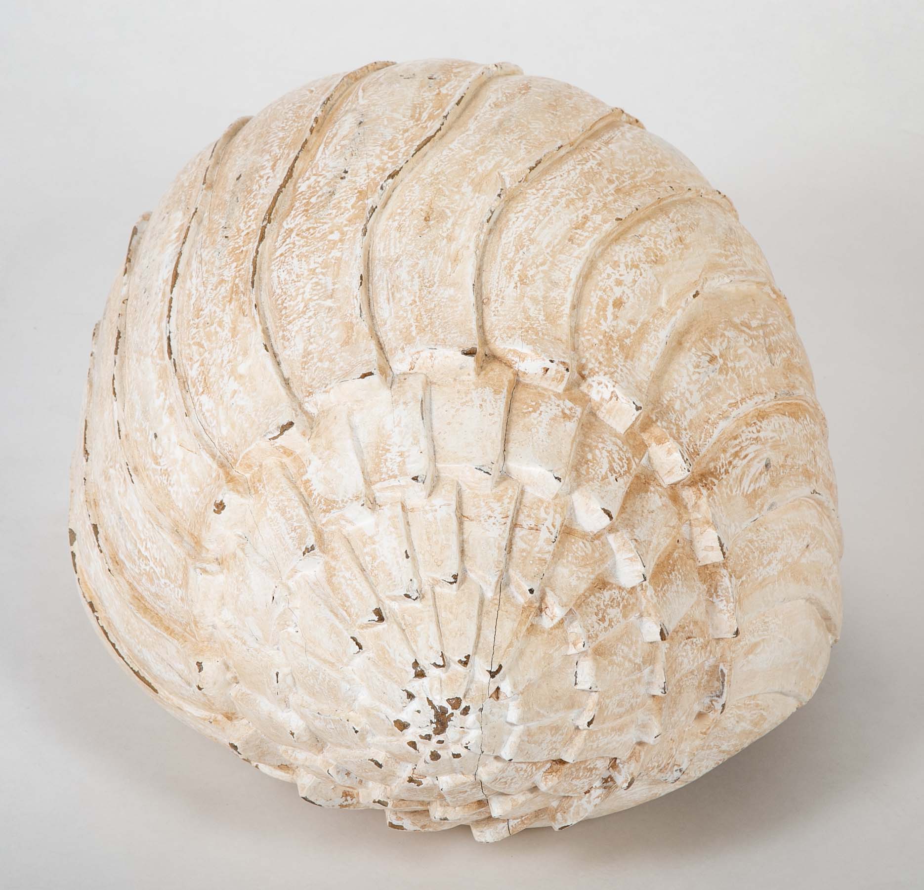 Giant Wood Carved Painted Seashell