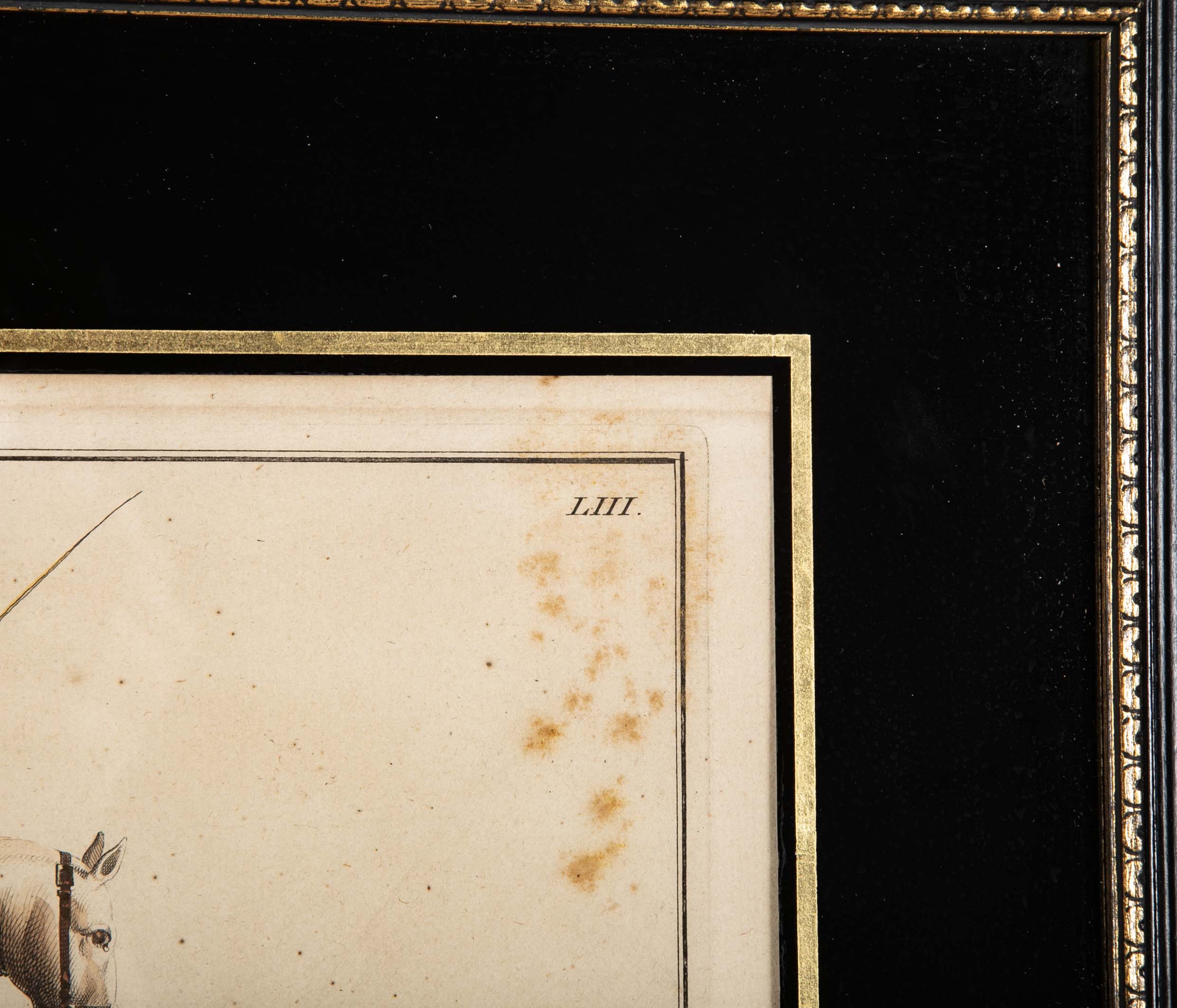 Set of Six 18th Century Hand Colored Prints of Horses by Baron D'Eisenberg
