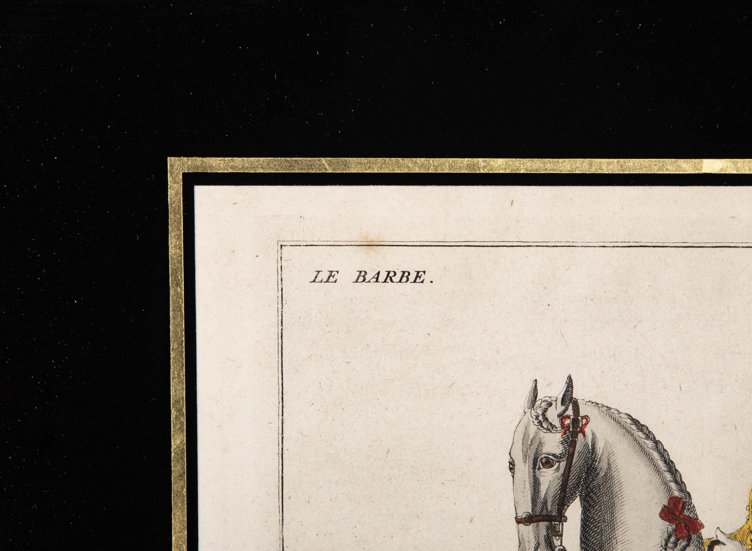 Set of Six 18th Century Hand Colored Prints of Horses by Baron D'Eisenberg