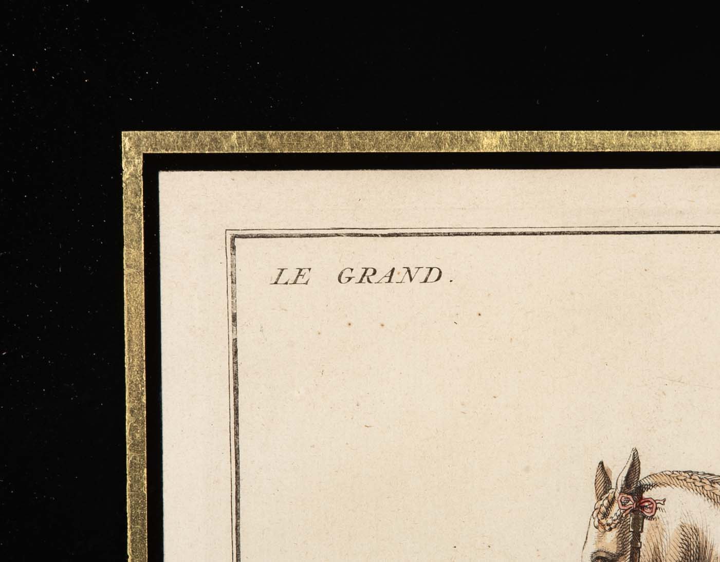 Set of Six 18th Century Hand Colored Prints of Horses by Baron D'Eisenberg