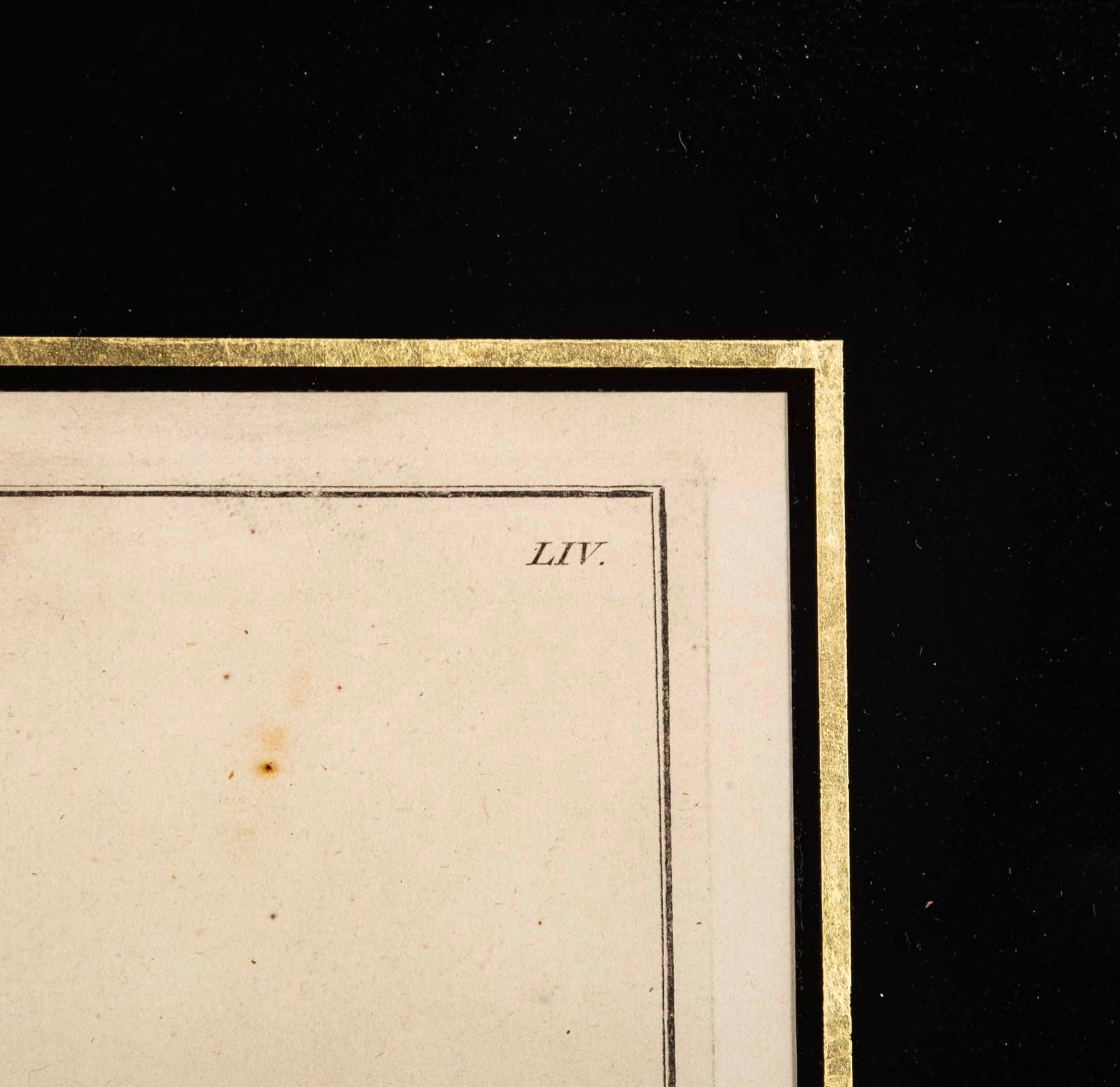 Set of Six 18th Century Hand Colored Prints of Horses by Baron D'Eisenberg