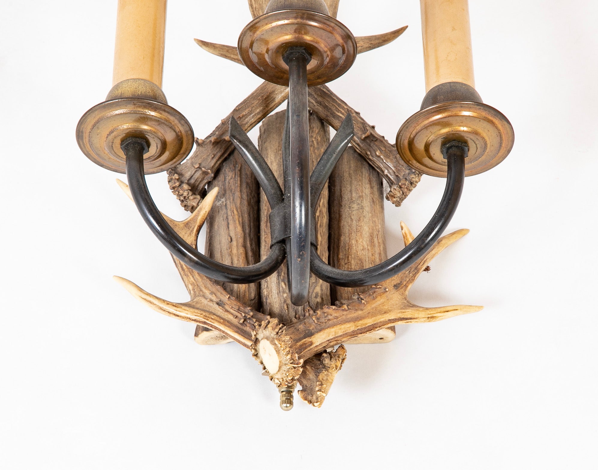Early 20th Century French Antler Wall Sconce