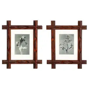 Pair of Tramp Art Frames with Botanicals By Karl Blossfeldt