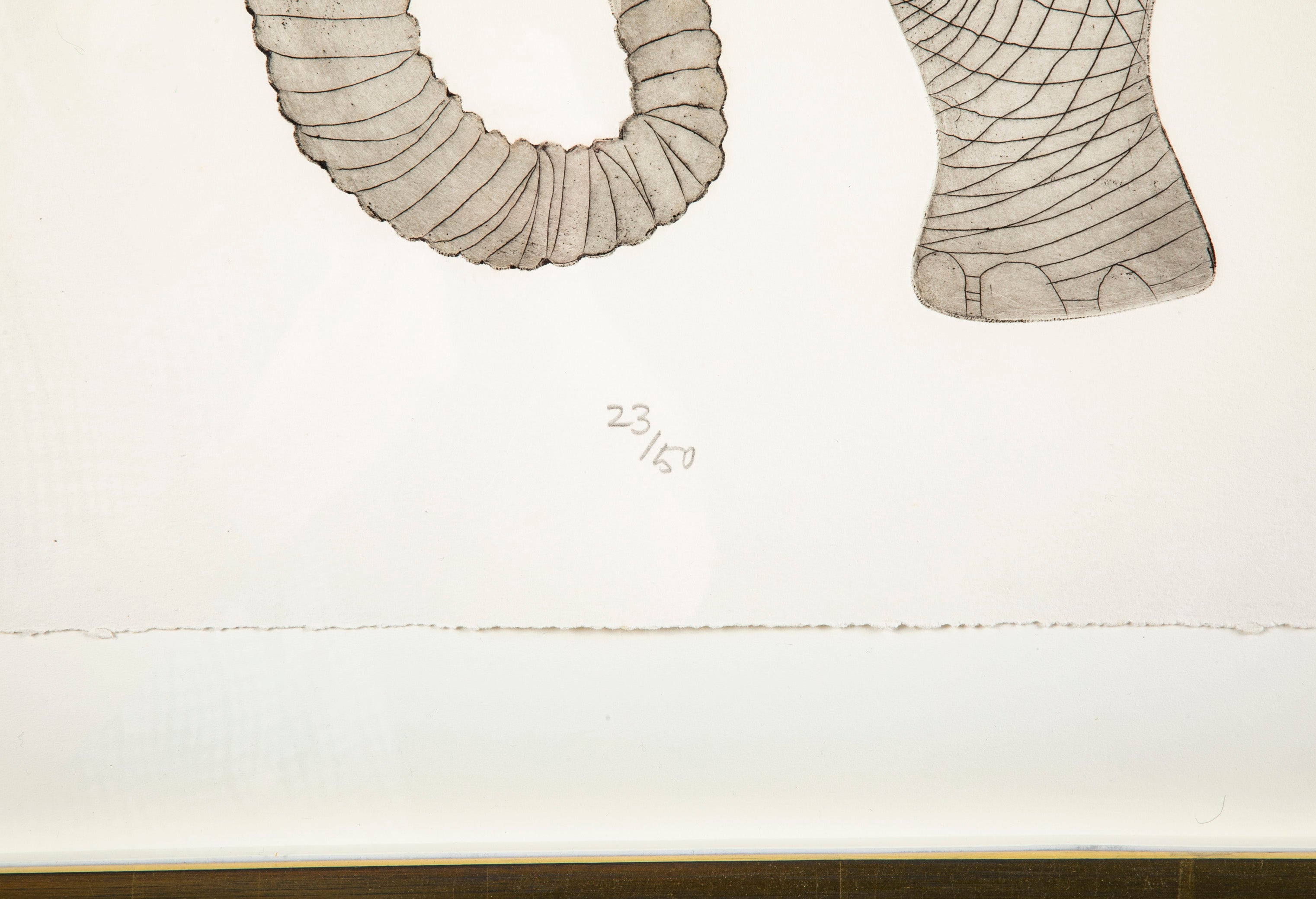 "Elephant" a Lithograph by Karen Usborne