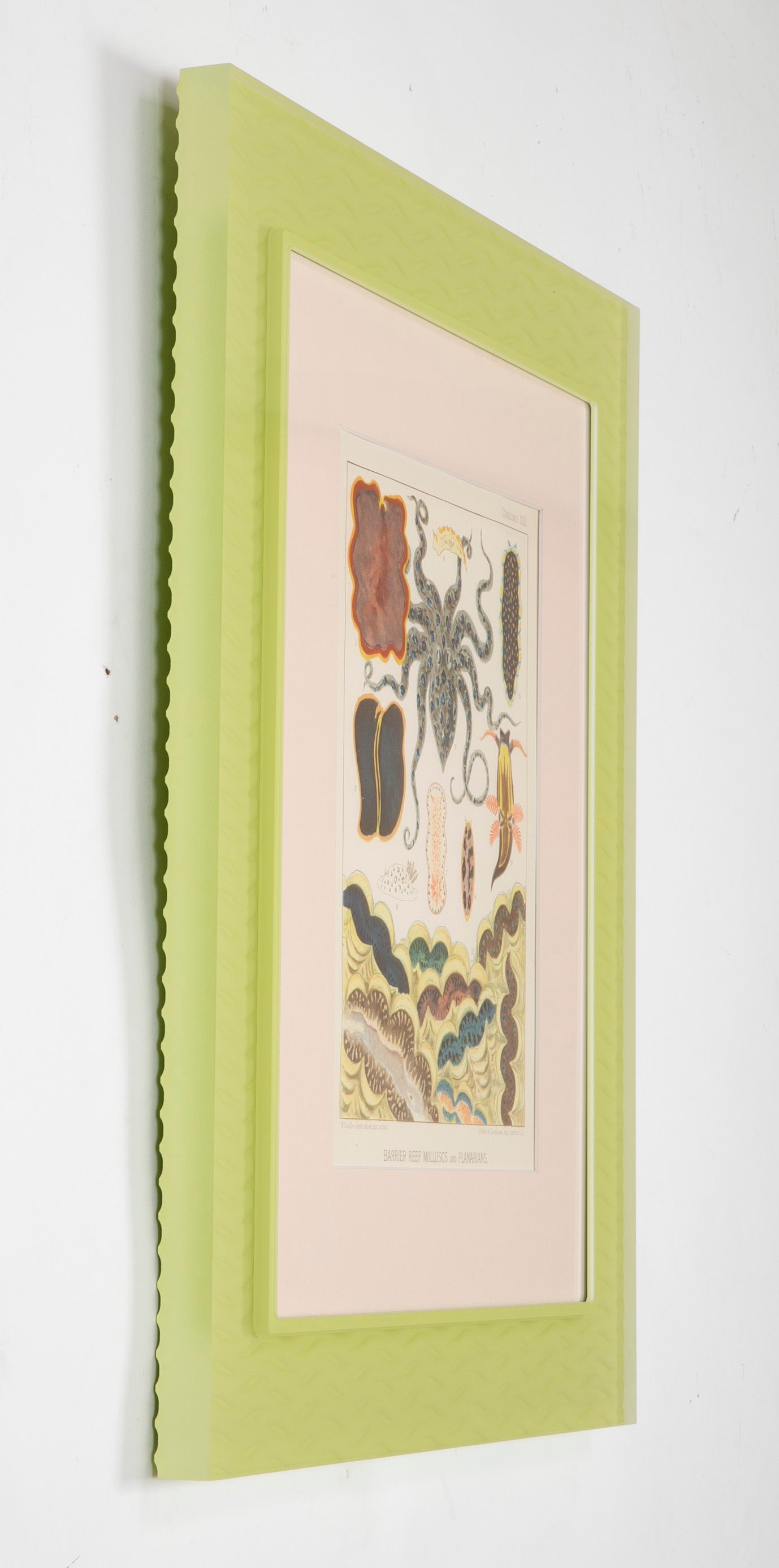 Set of Eight Chromolithographs of Australia's Great Barrier Reef