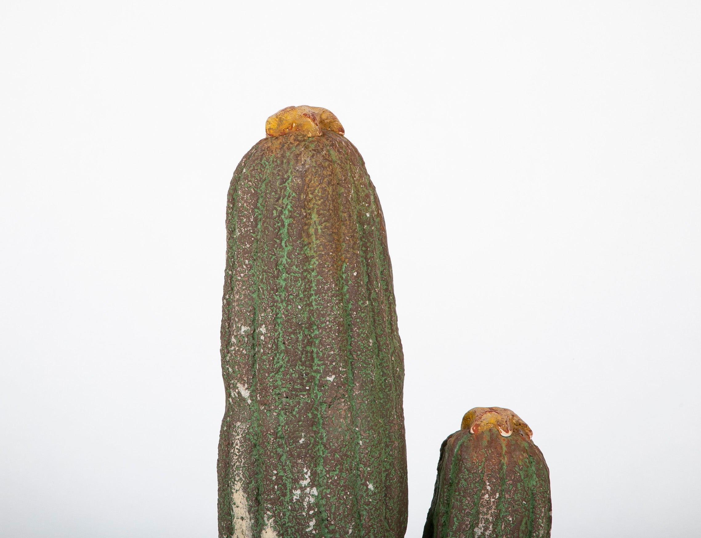 Pair of Garden & Interior Cactus Sculptures