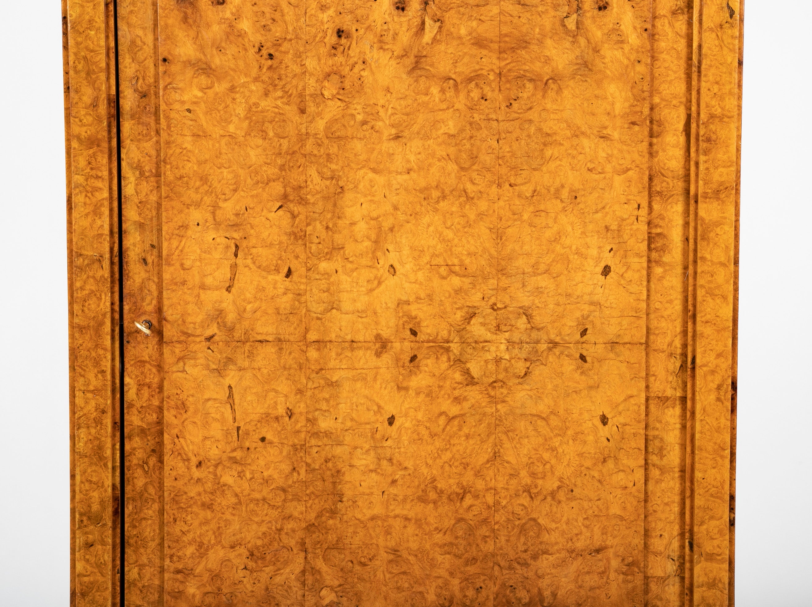 A French Burlwood Cabinet on Bronze Sabots