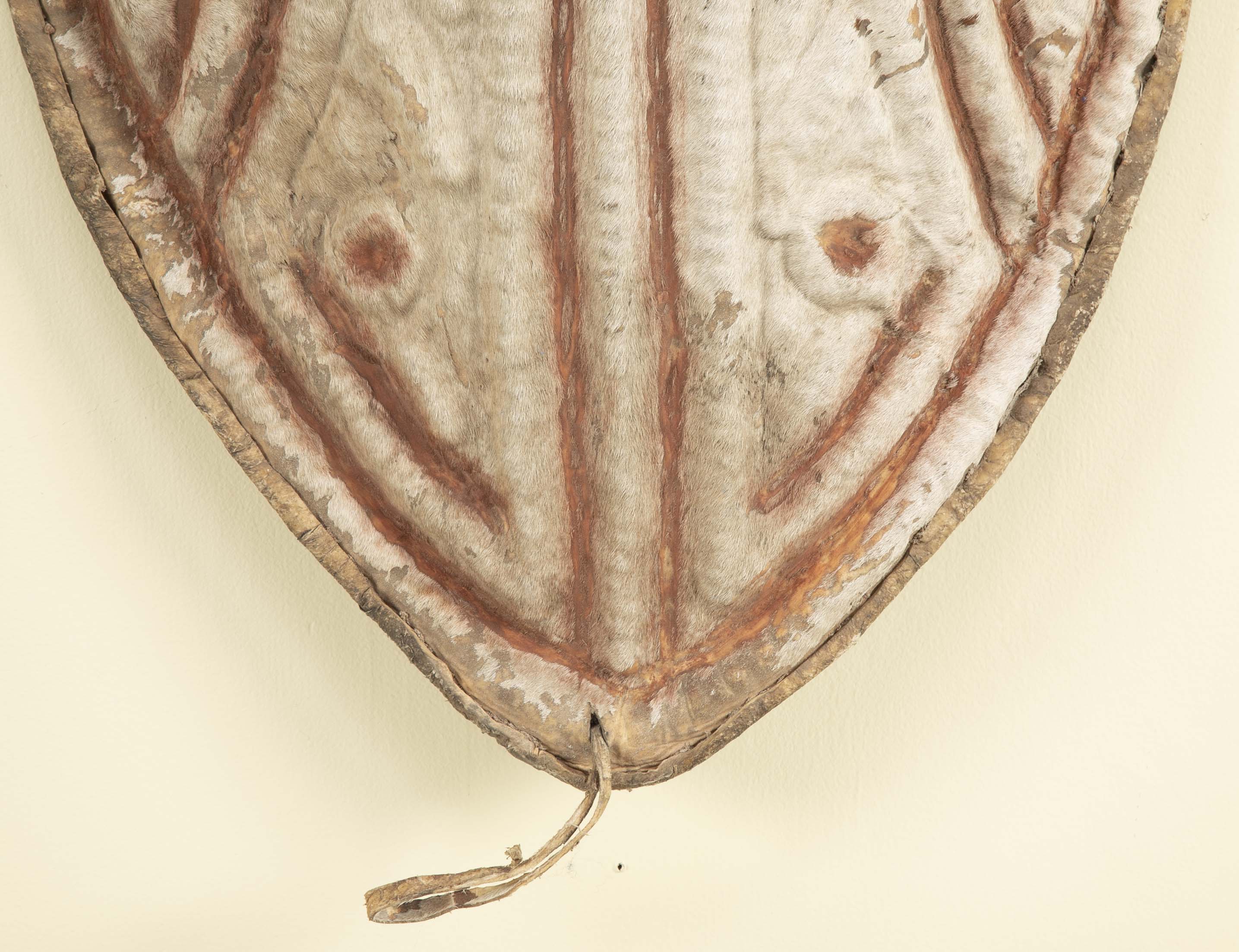 A Wandala Shield from Chad