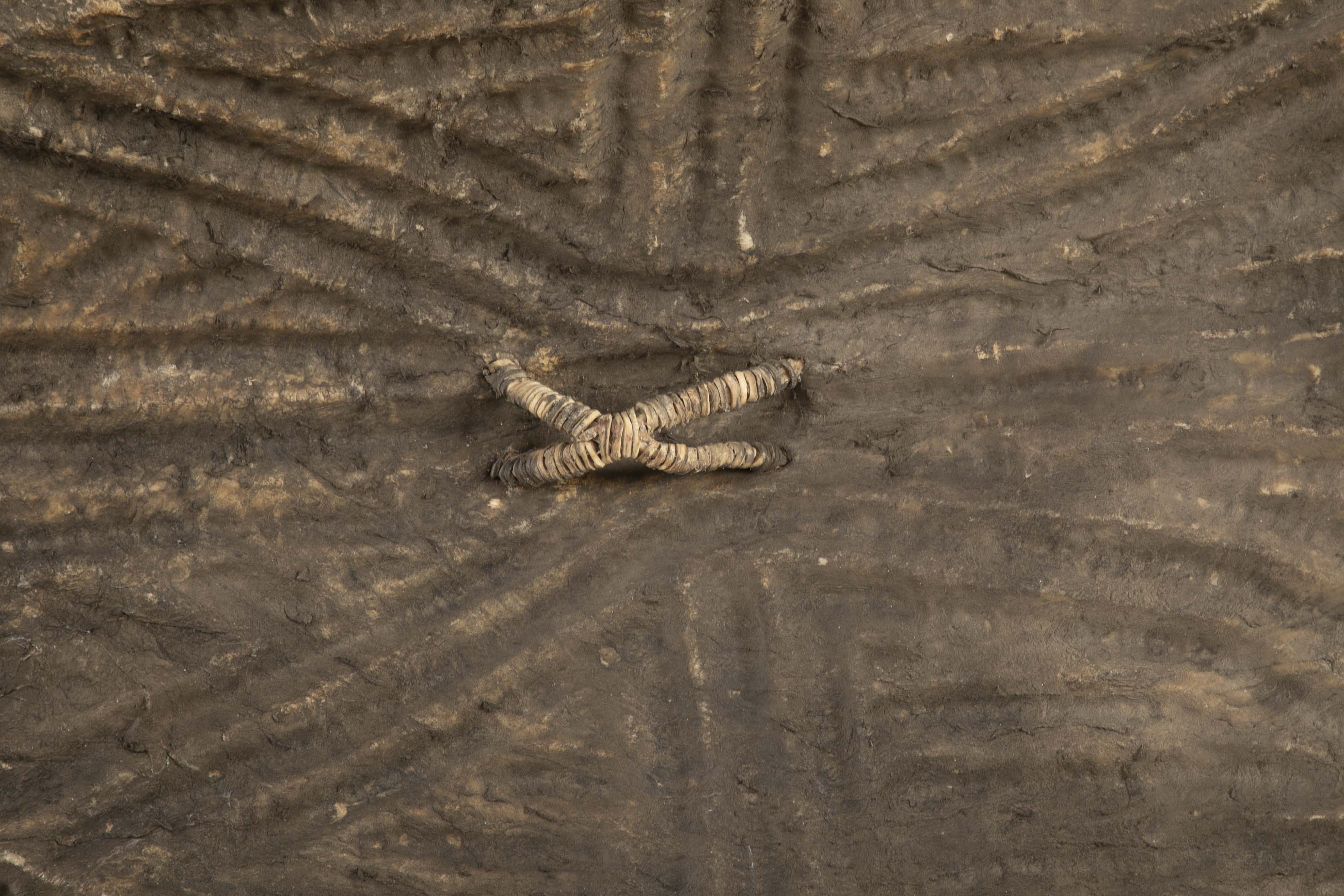 A Wandala Shield from Chad