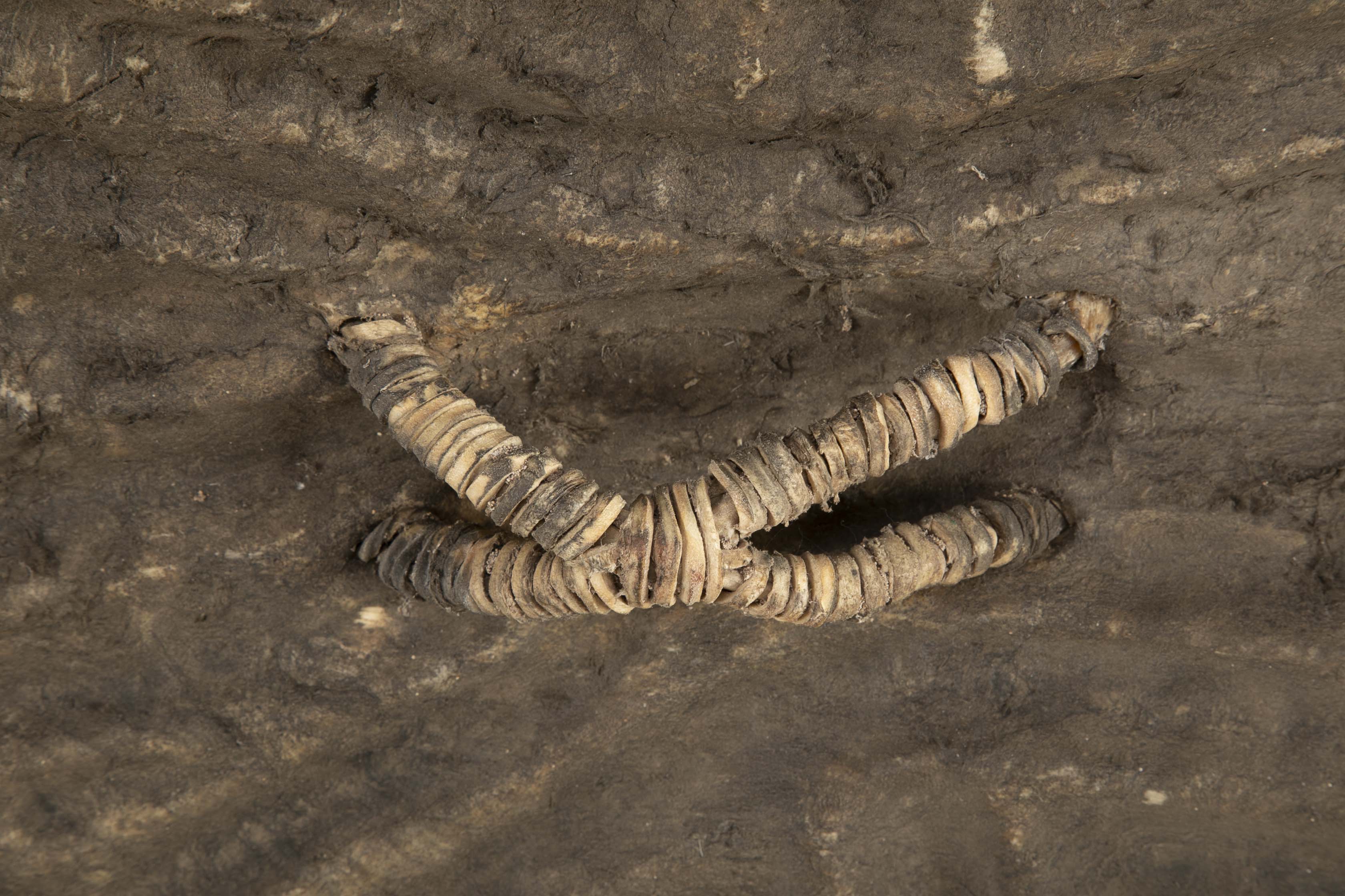 A Wandala Shield from Chad