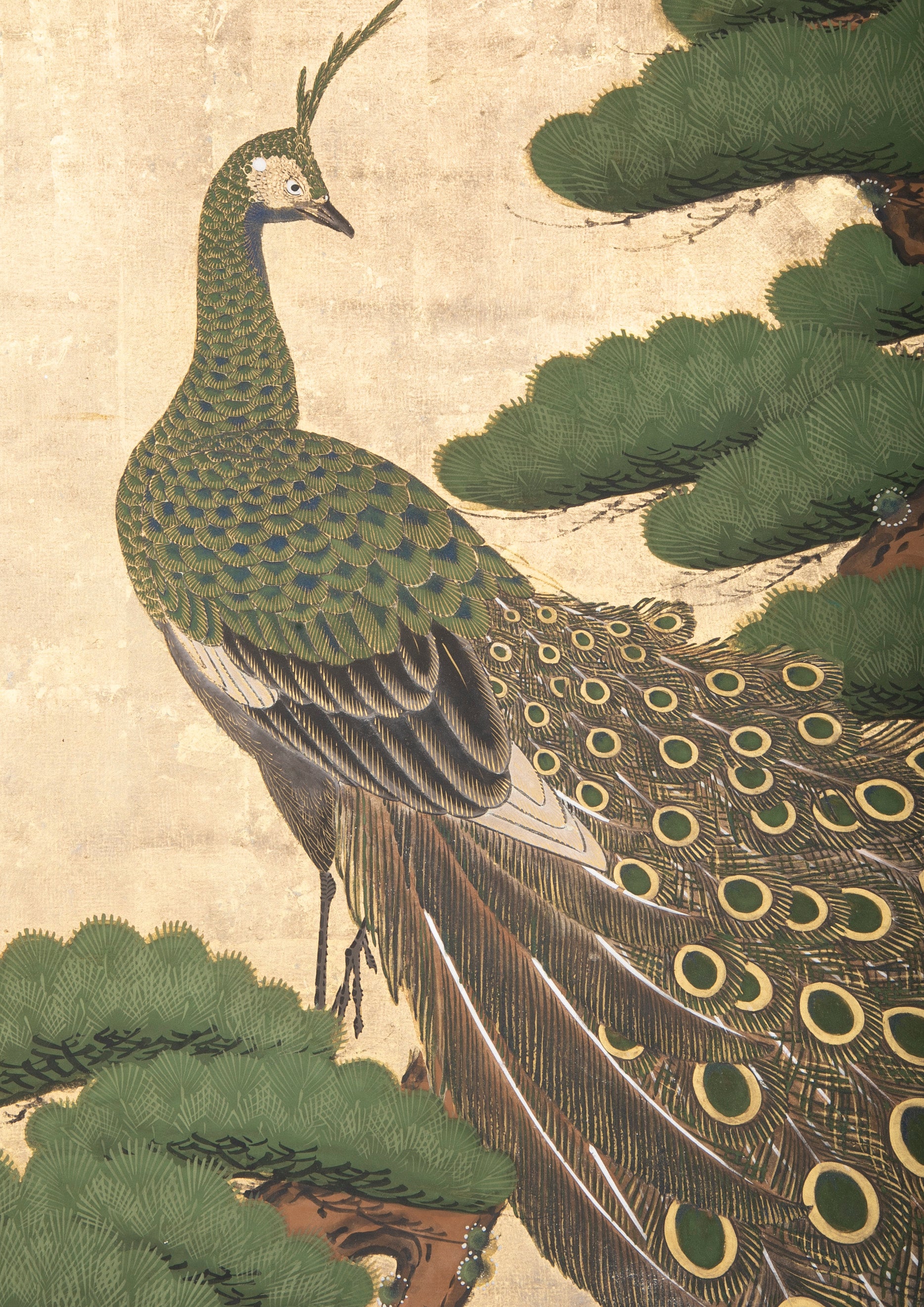 19th Century Japanese Screen Painting of a Peacock
