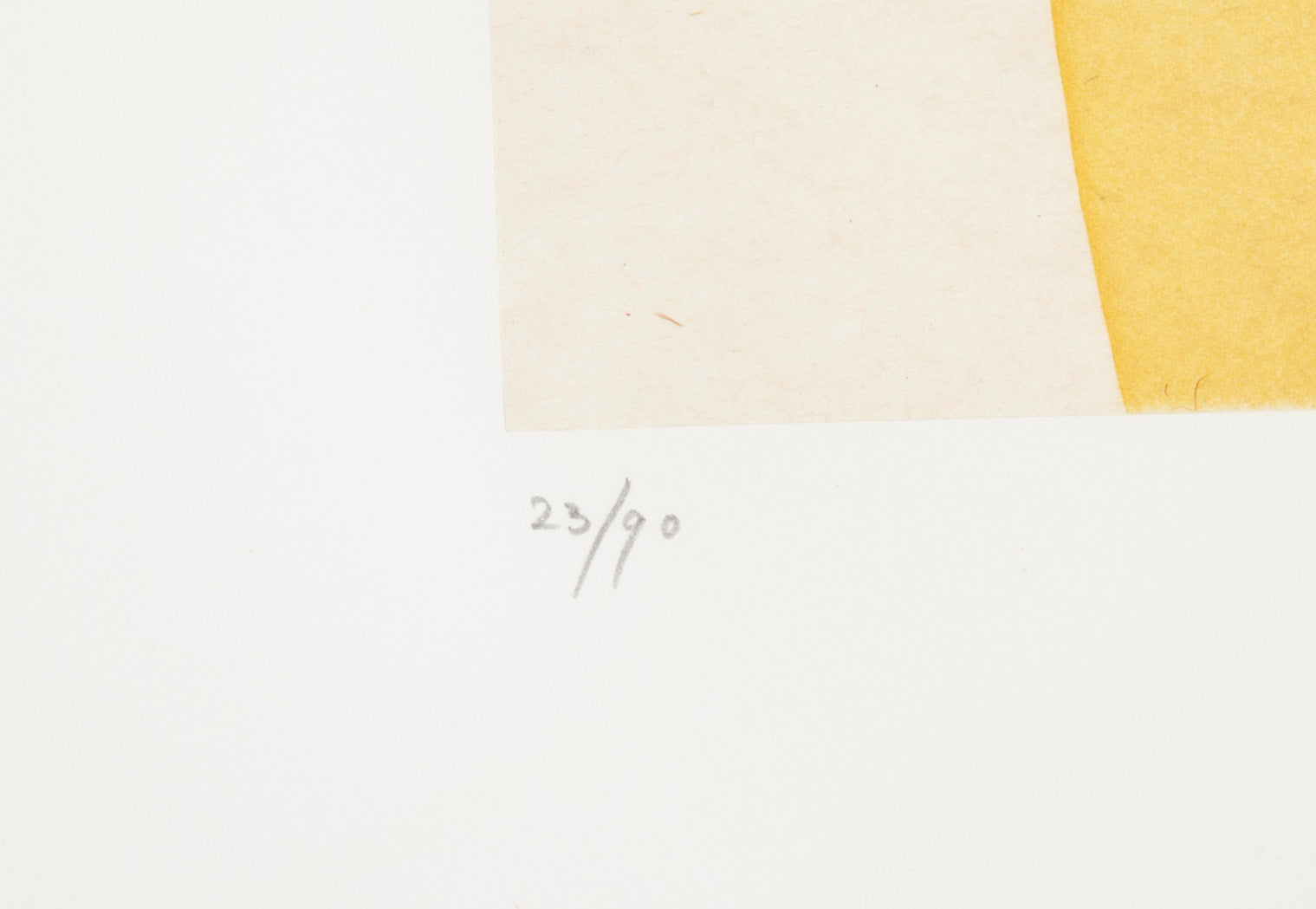 "Two Images" Etching with Colors by Victor Pasmore