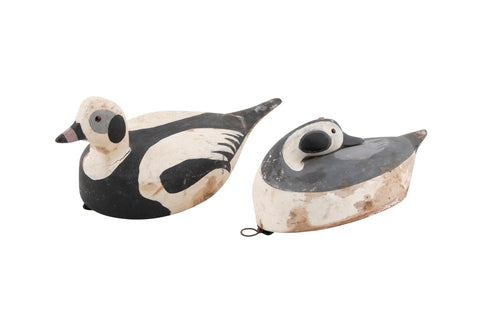 Pair of Long-tailed Duck Decoys