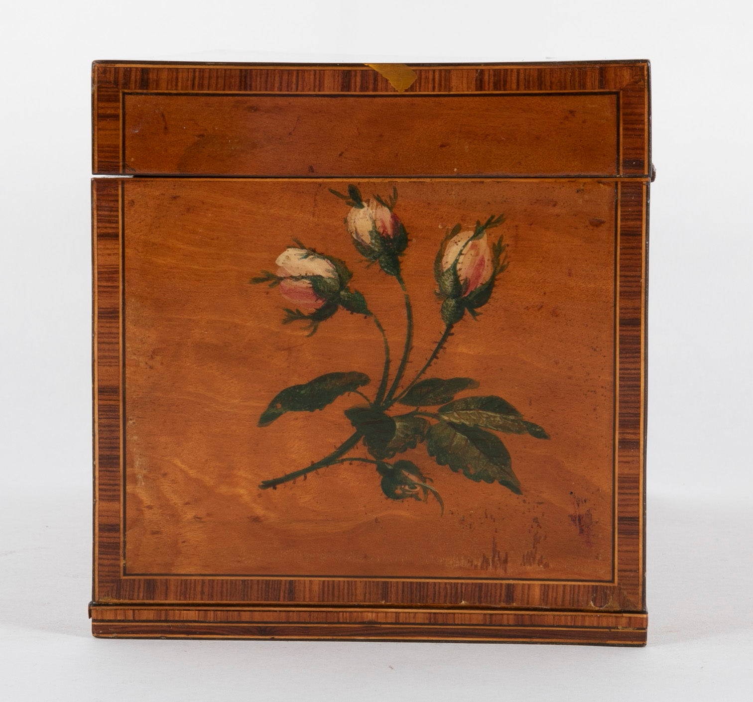 Early 19th Century English Satinwood Painted Tea Caddy
