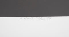 Super Model #1 & #2 by KAWS