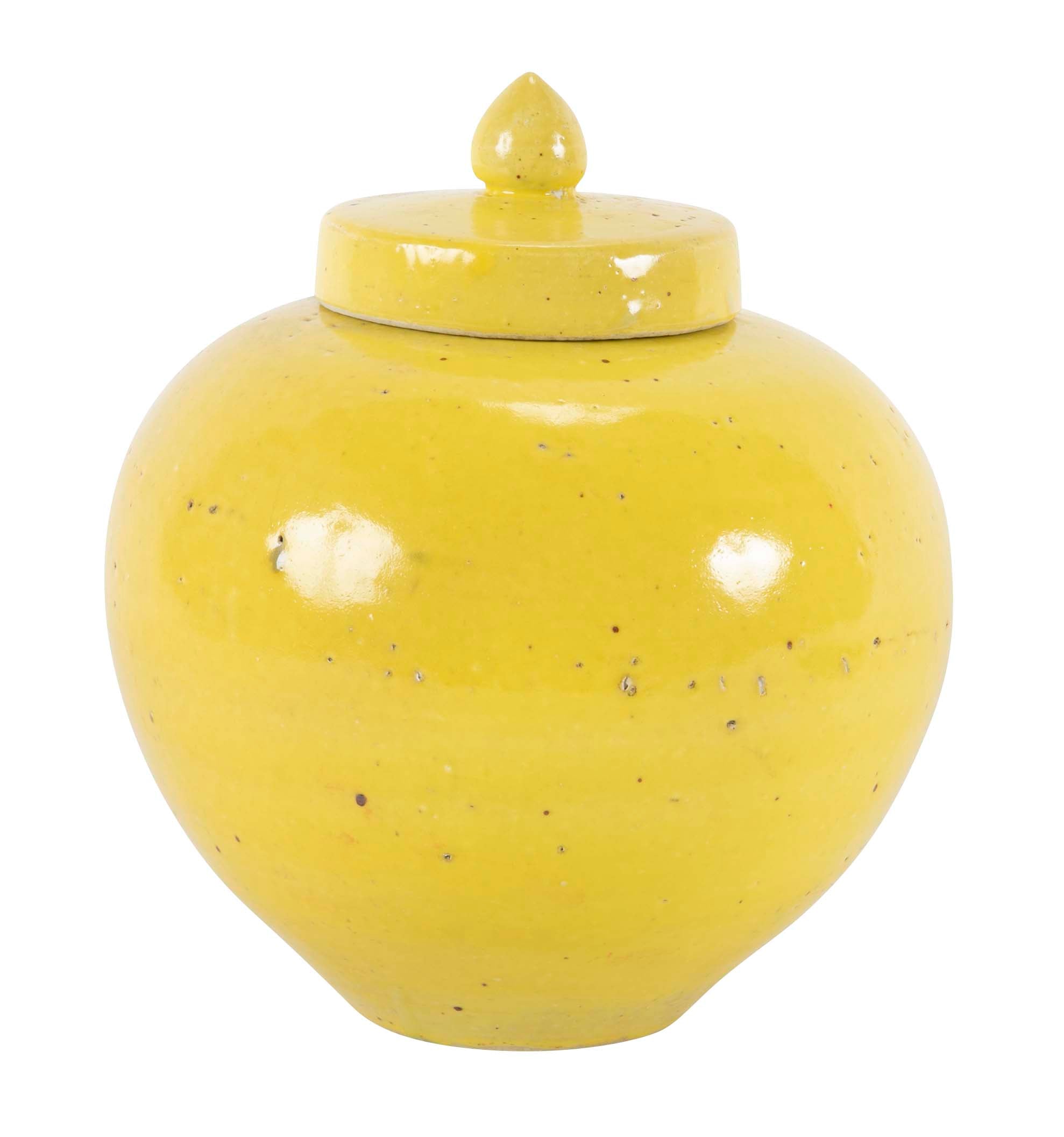 Pair of 19th Century Chinese Ginger Jars