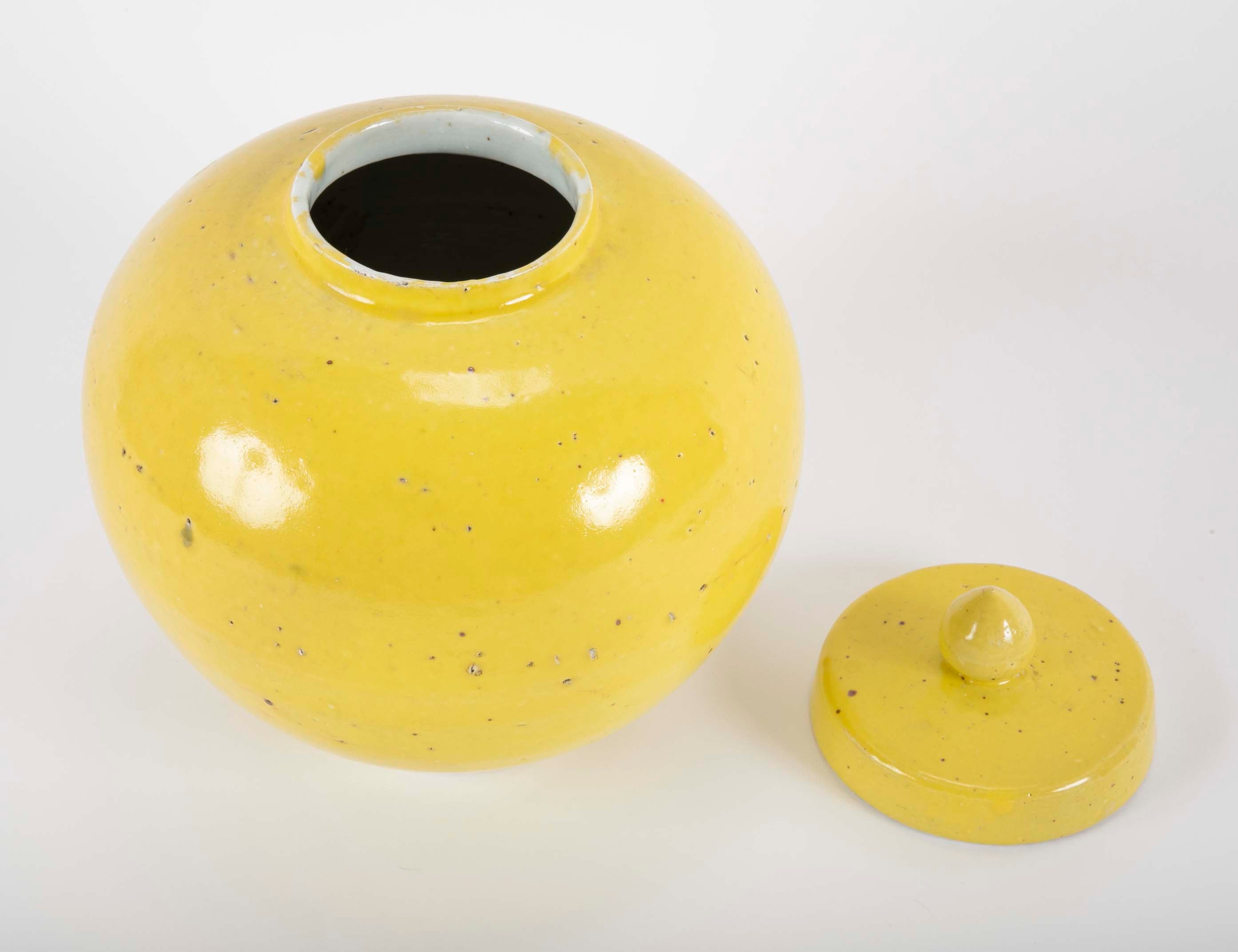 Pair of 19th Century Chinese Ginger Jars