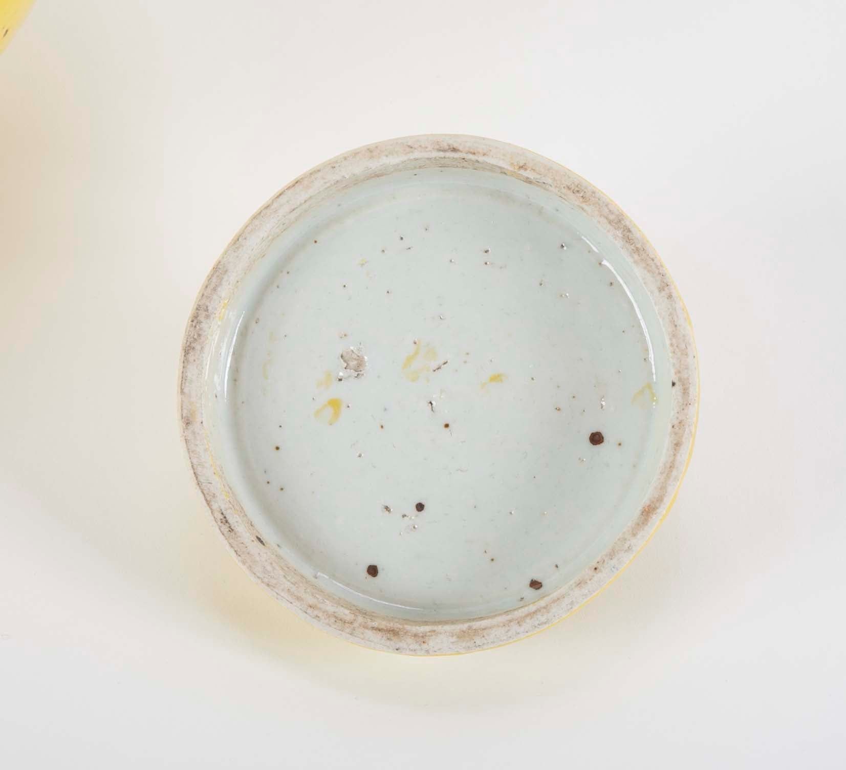 Pair of 19th Century Chinese Ginger Jars