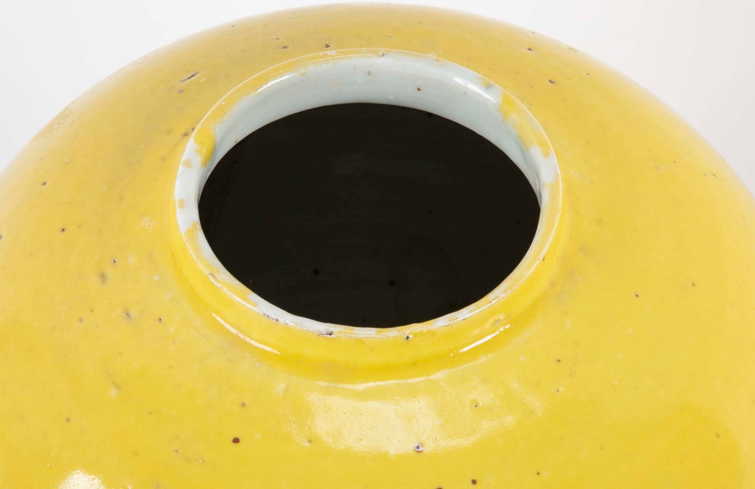 Pair of 19th Century Chinese Ginger Jars