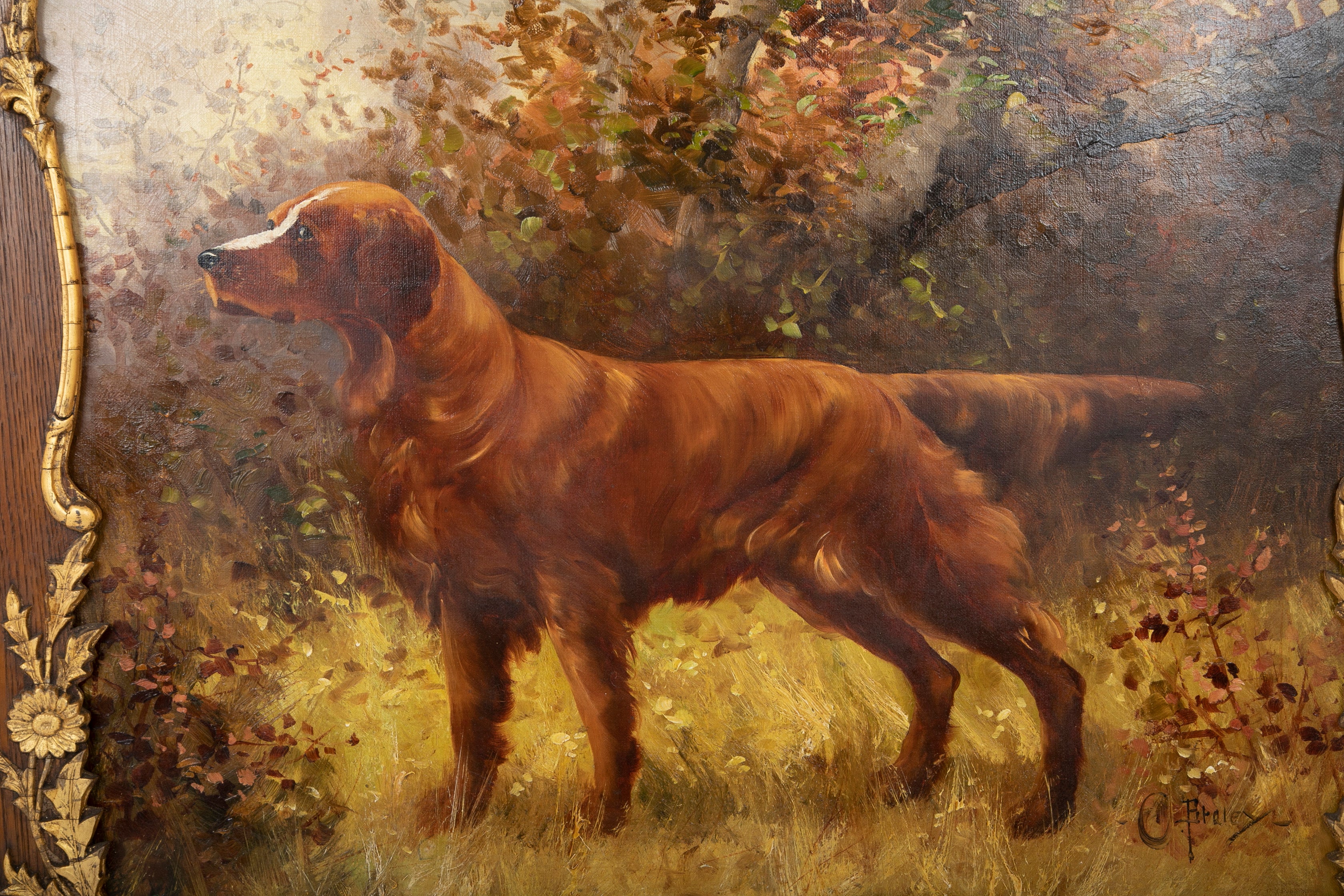 Oil on Canvas Portrait of a Setter or Golden Retriever Signed Clarence E. Braley