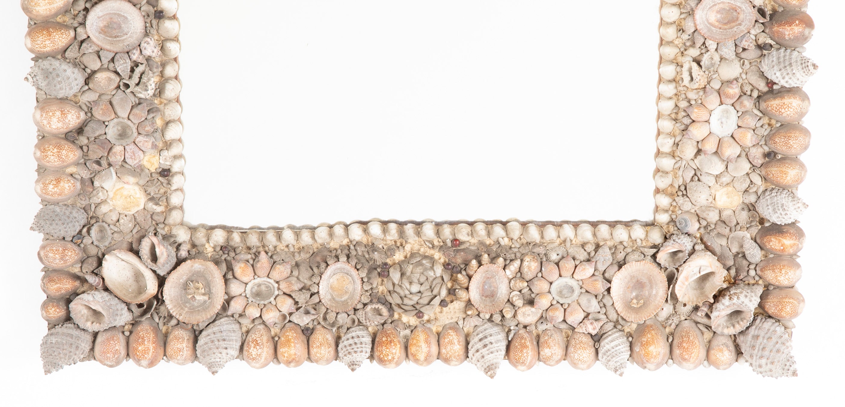Fabulous American Sea Shell Framed Mirror