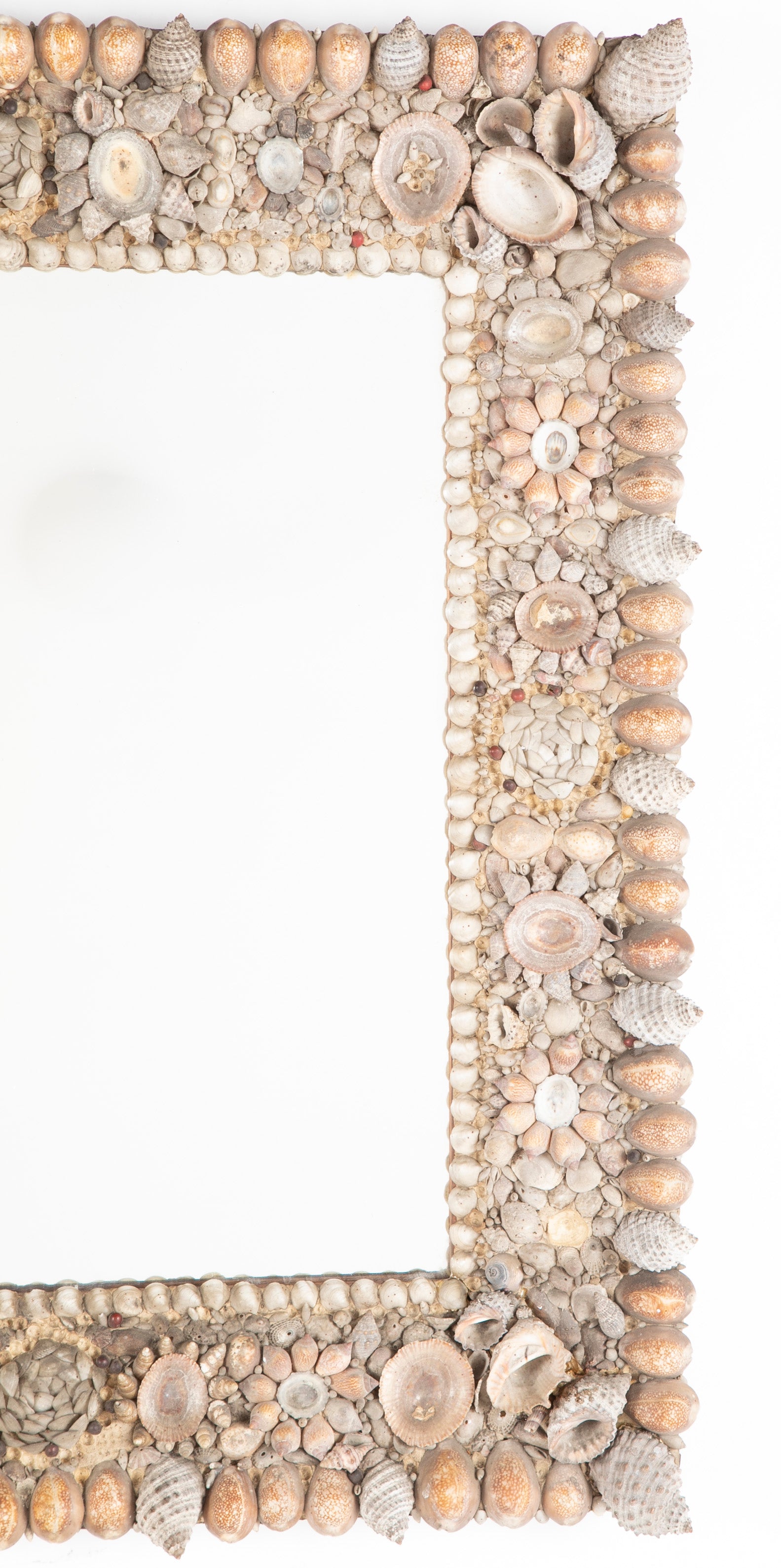 Fabulous American Sea Shell Framed Mirror