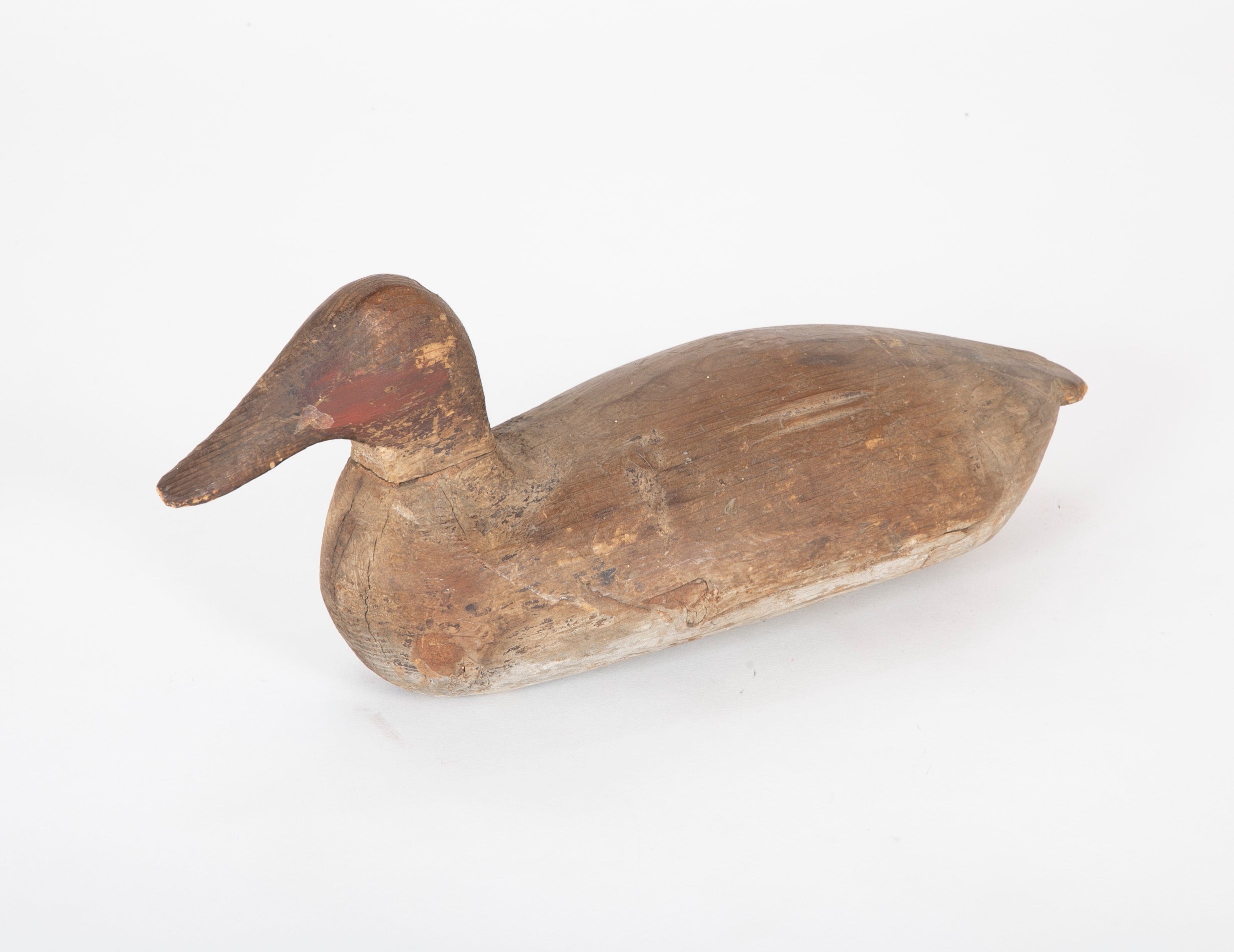 A Canvas Back Drake Decoy from The Eastern Shore, Maryland